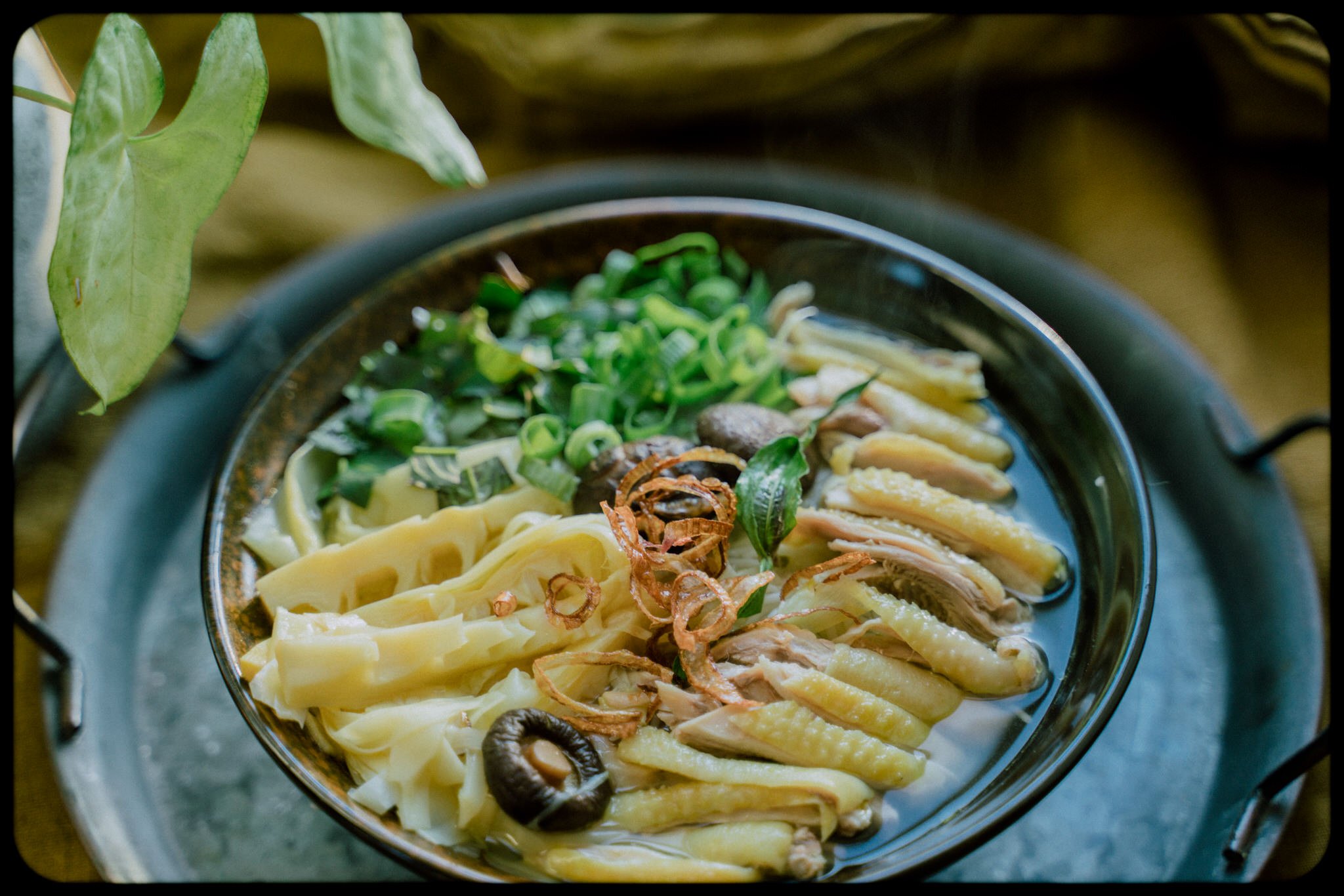 Vietnamese Bamboo Shoots and Chicken Noodle Soup 3.jpg