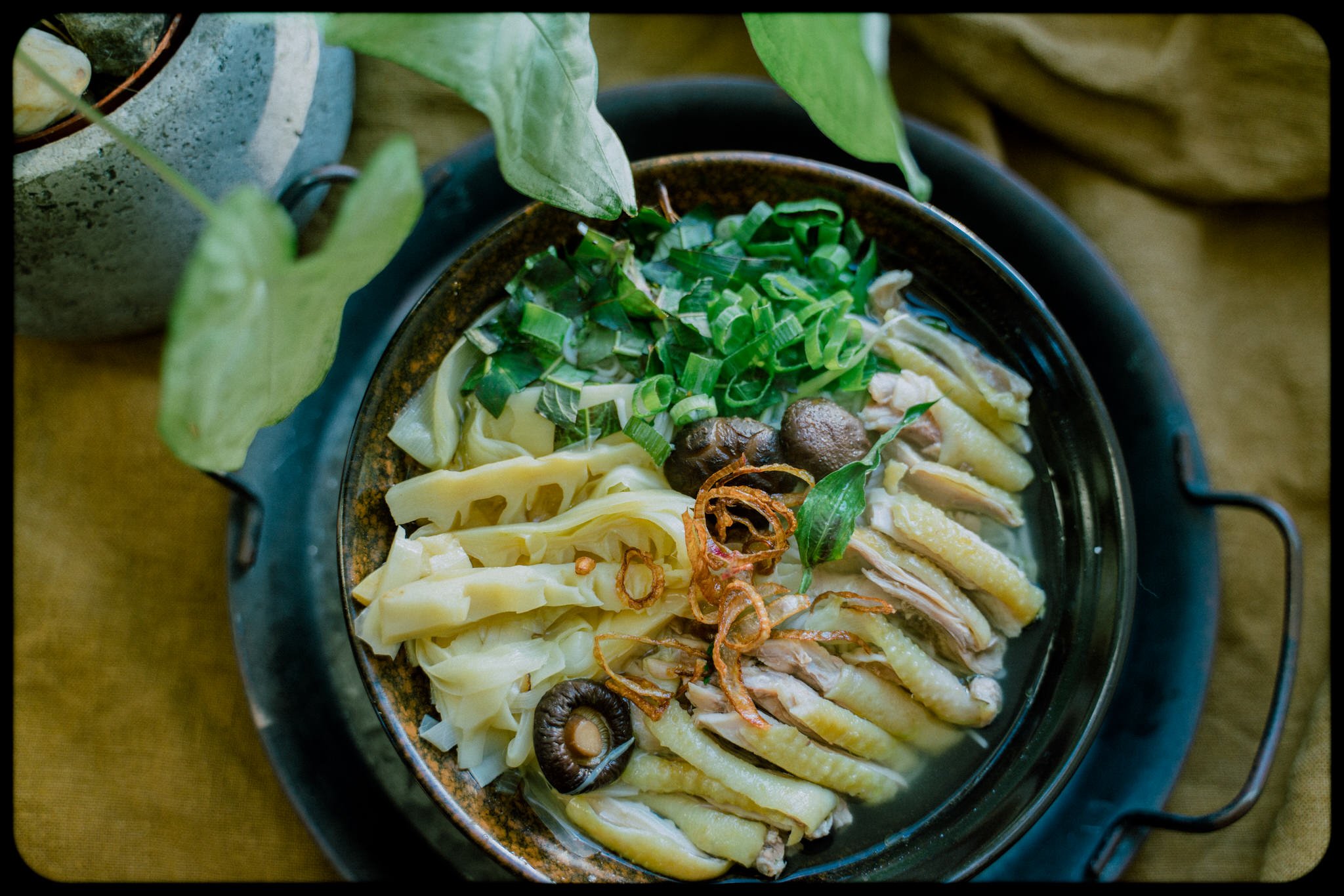 Vietnamese Bamboo Shoots and Chicken Noodle Soup 1.jpg