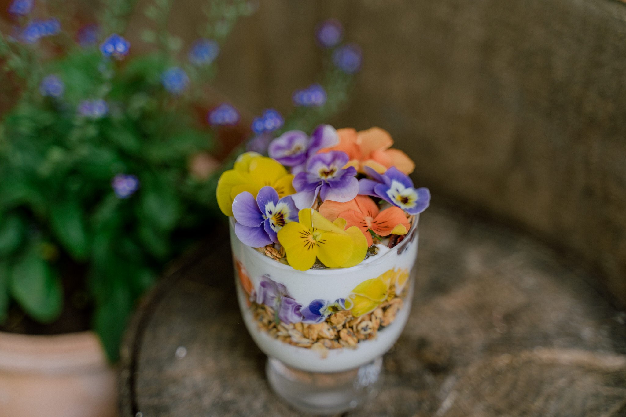 Flower Food for Cottage Life - Simple Edible Flower Recipes — HER