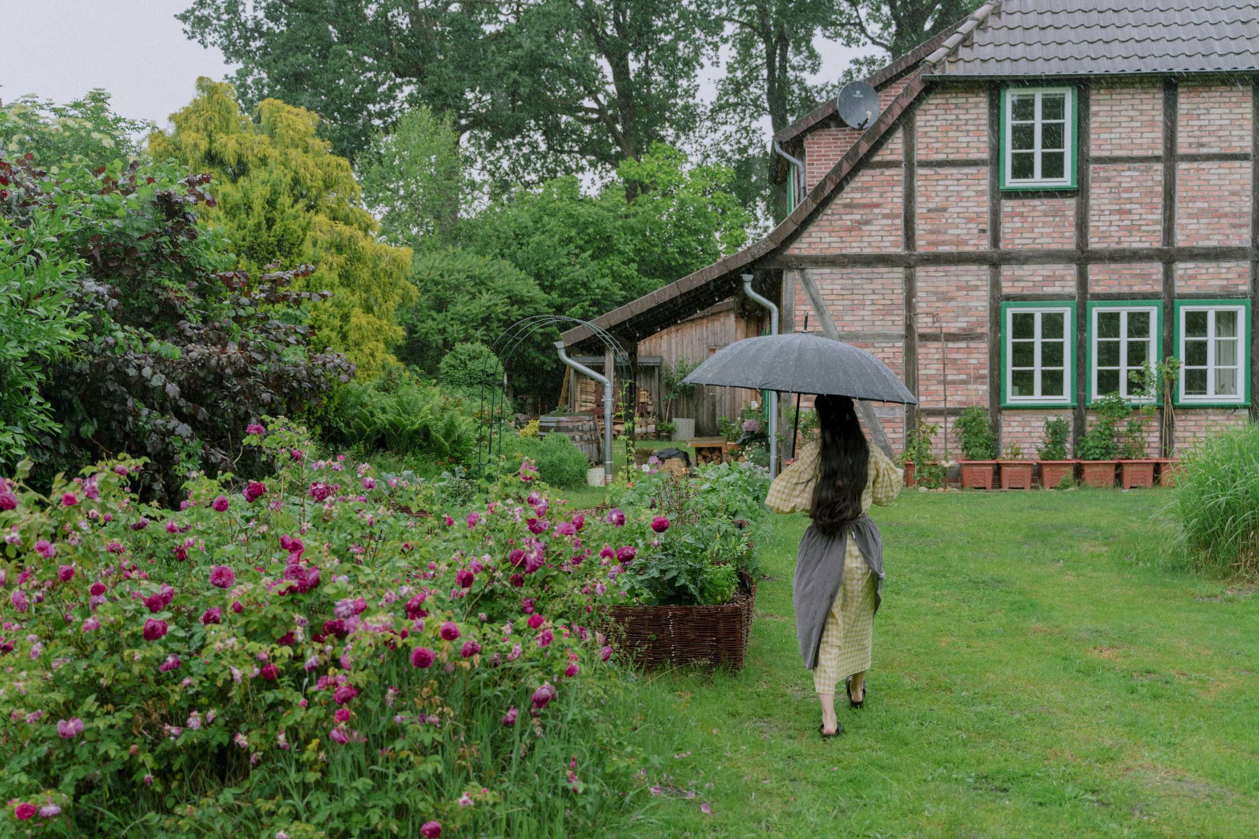Daily life in my countryside. The Rainy Day. Summer Life in the countryside. Emma how the Gardens meet. Me like Life.