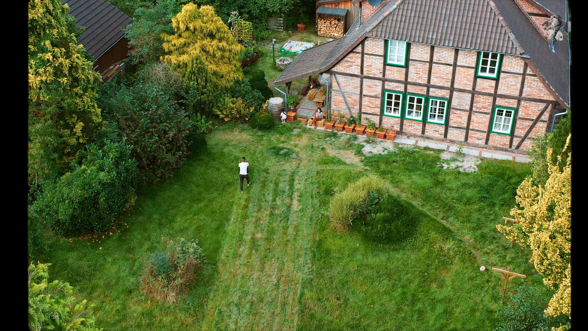 365 Days of my Vegetable Garden from Above_1.7.1.jpg