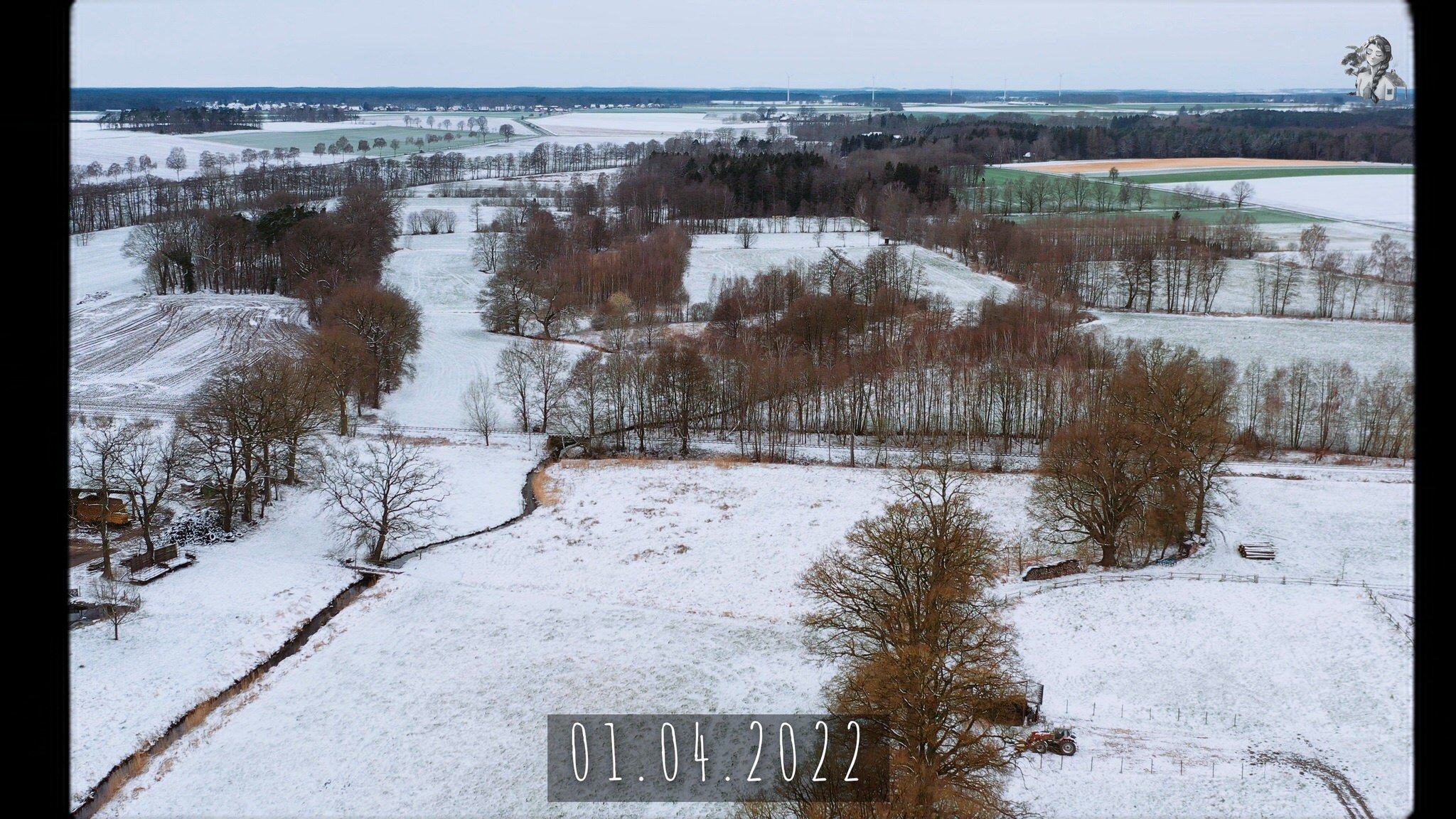 365 Days of my Vegetable Garden from Above_1.14.1.jpg