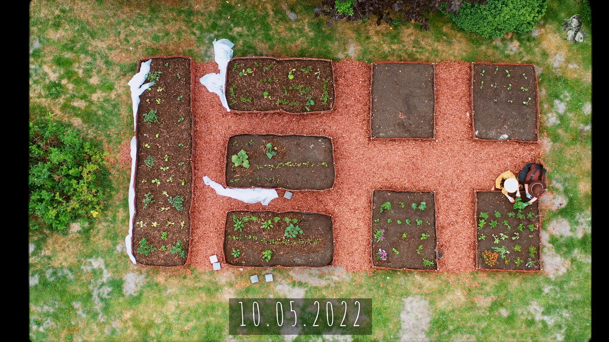 365 Days of my Vegetable Garden from Above_1.22.1.jpg