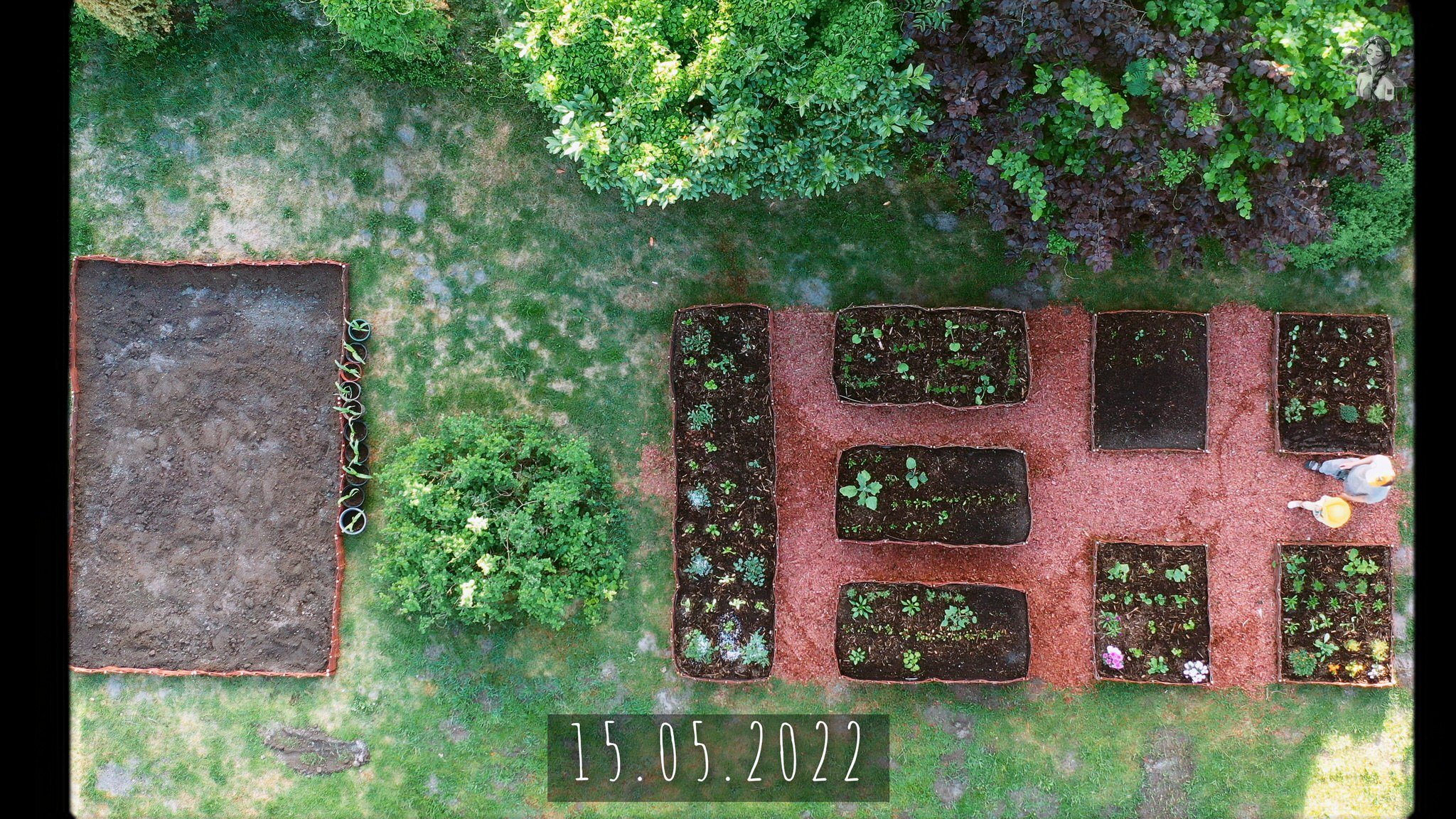 365 Days of my Vegetable Garden from Above_1.24.1.jpg