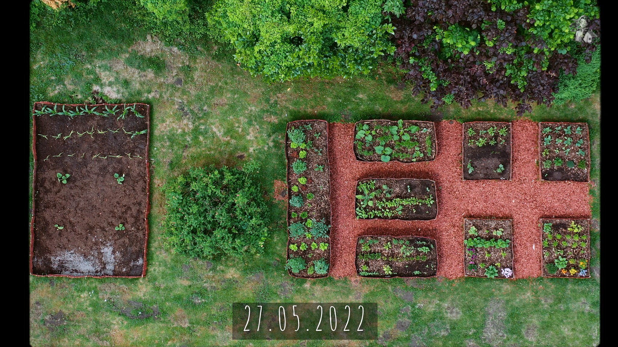 365 Days of my Vegetable Garden from Above_1.26.1.jpg