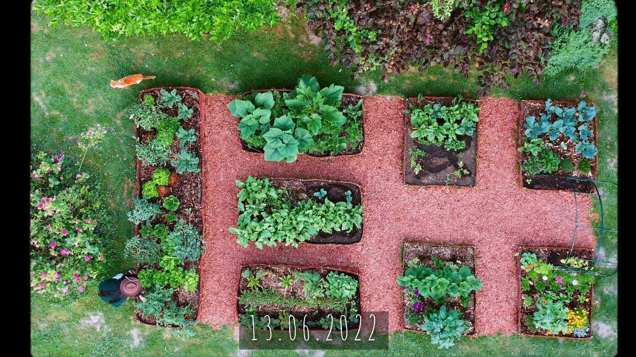 365 Days of my Vegetable Garden from Above_1.31.1.jpg