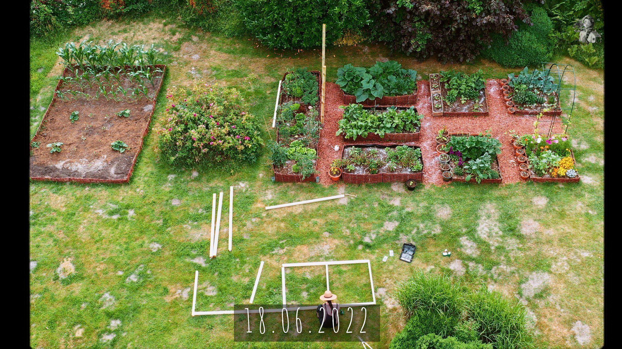 365 Days of my Vegetable Garden from Above_1.32.1.jpg