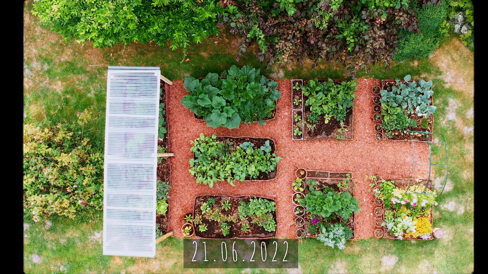 365 Days of my Vegetable Garden from Above_1.34.1.jpg