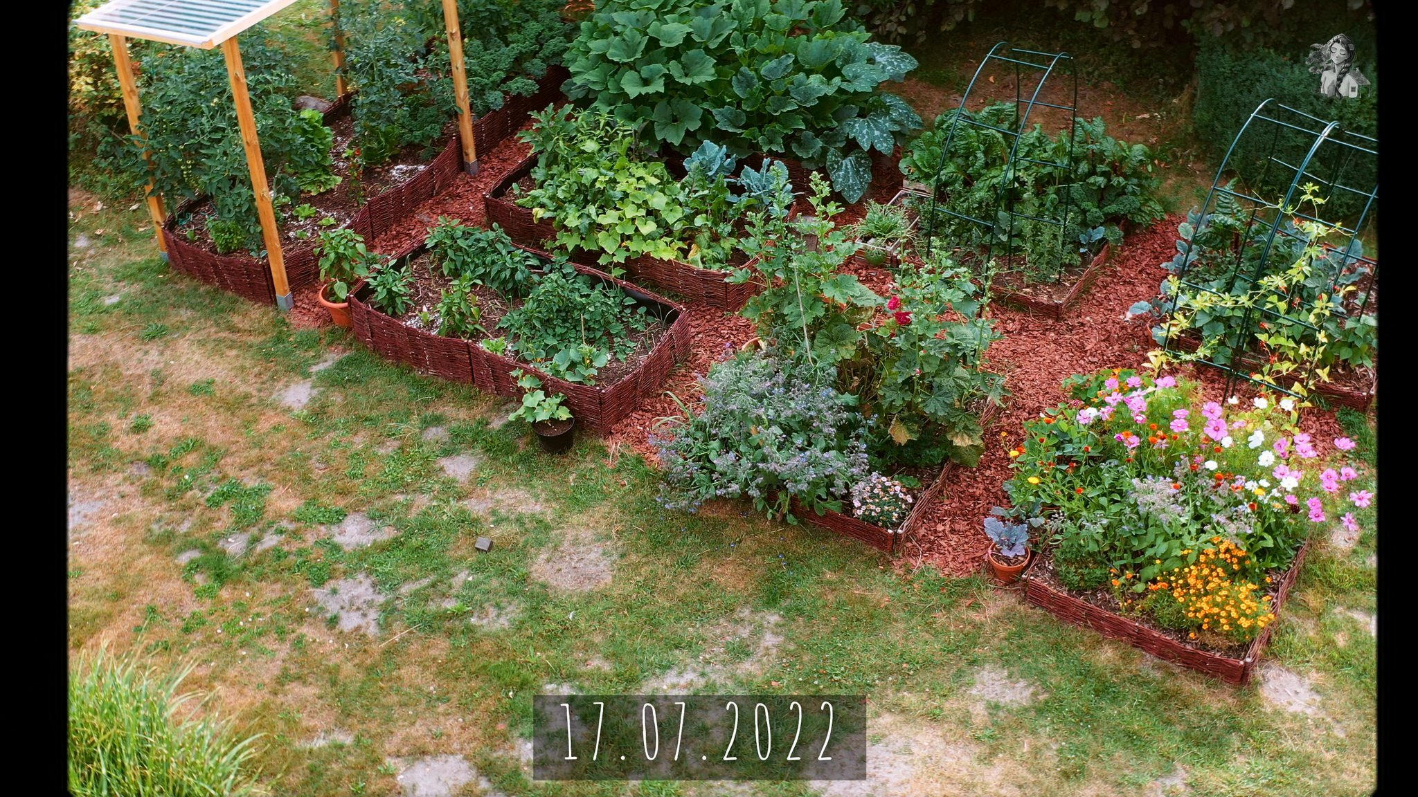 365 Days of my Vegetable Garden from Above_1.43.1.jpg