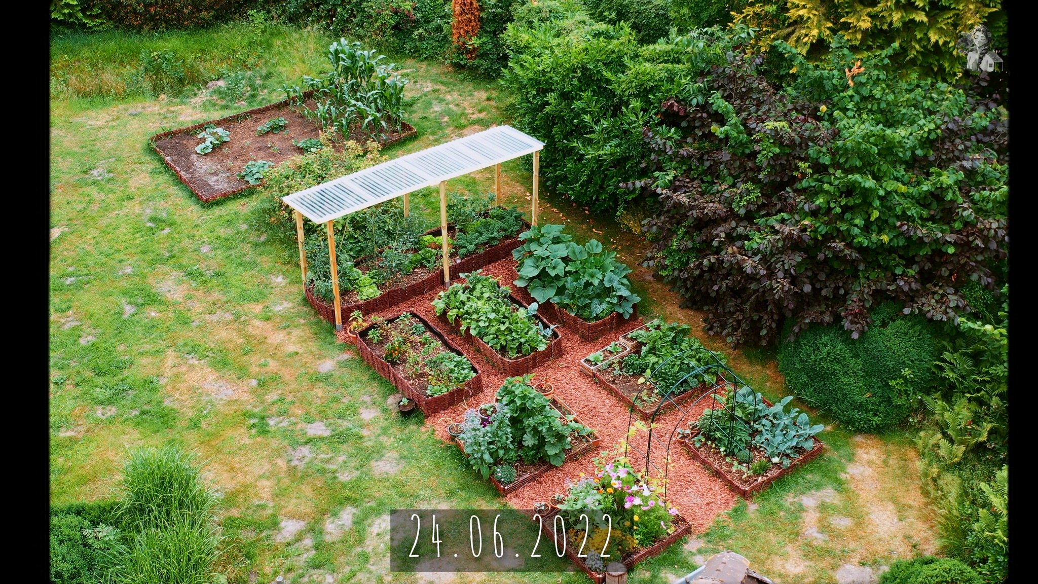 365 Days of my Vegetable Garden from Above_1.36.1.jpg