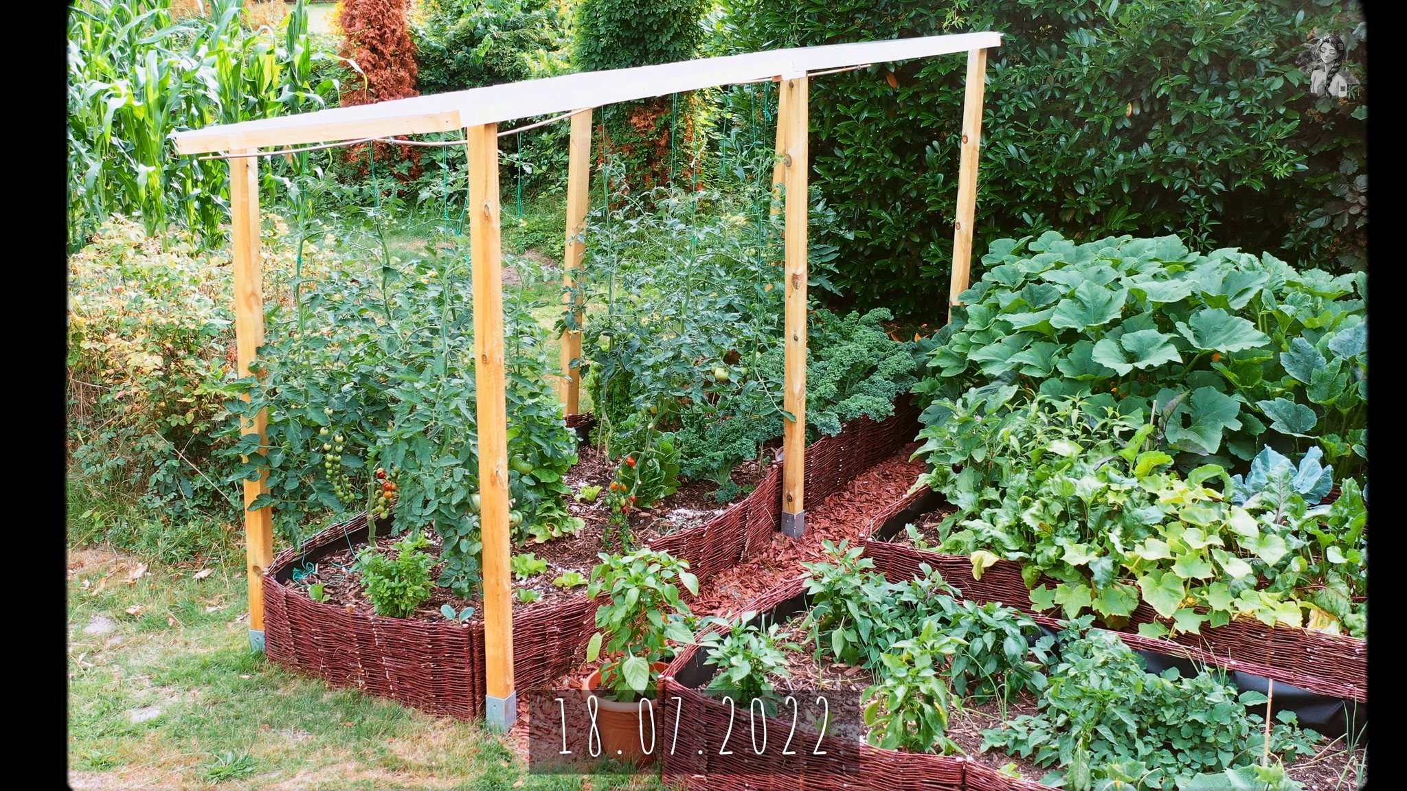 365 Days of my Vegetable Garden from Above_1.44.1.jpg