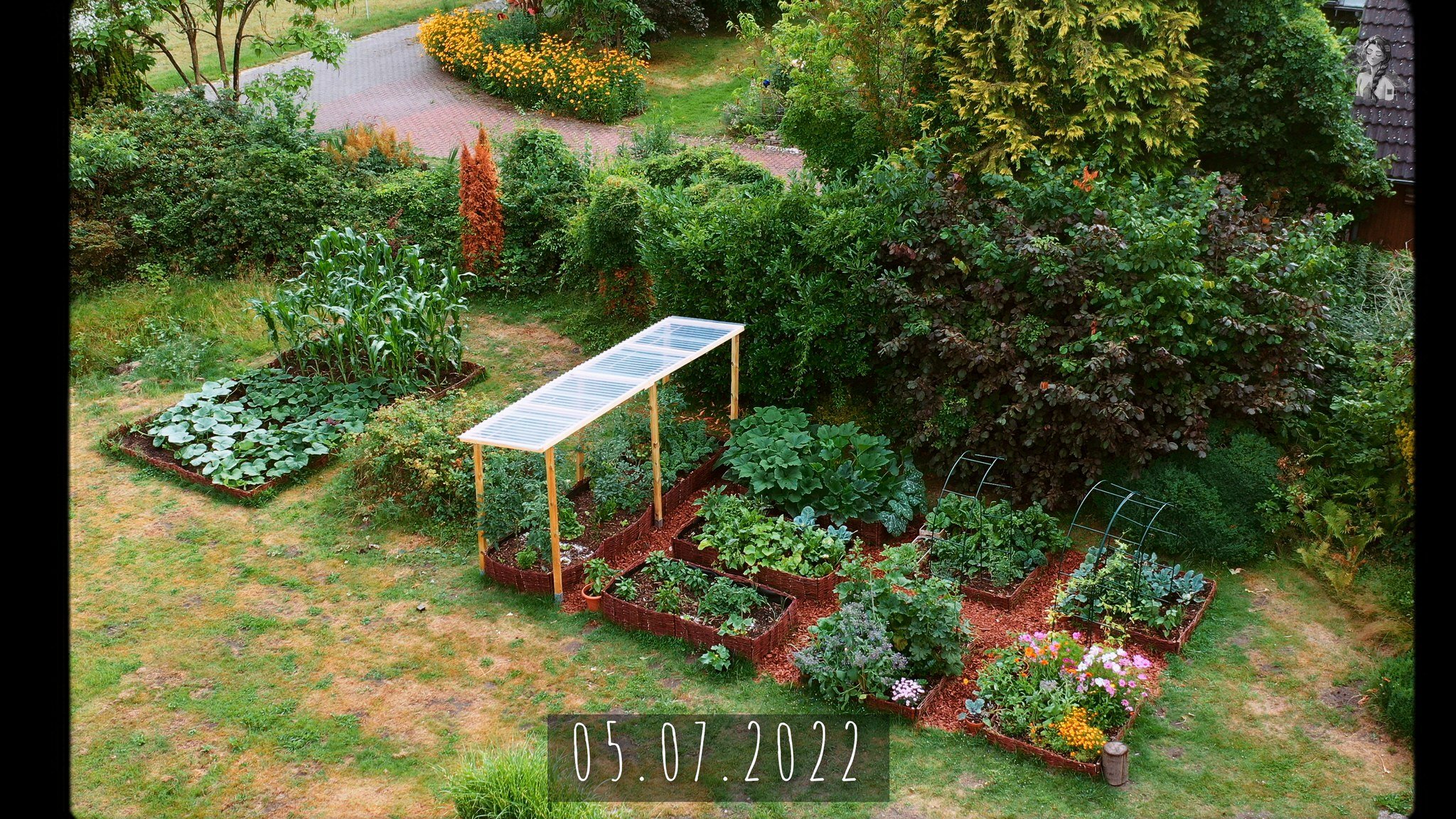 365 Days of my Vegetable Garden from Above_1.40.1.jpg