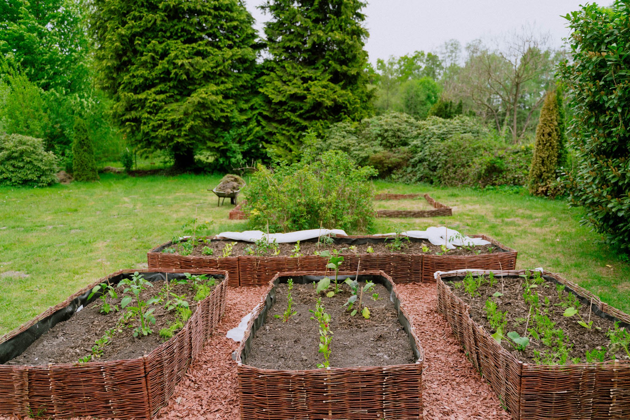 Vegetable Garden 2022 - Her86m2 - 4.jpg