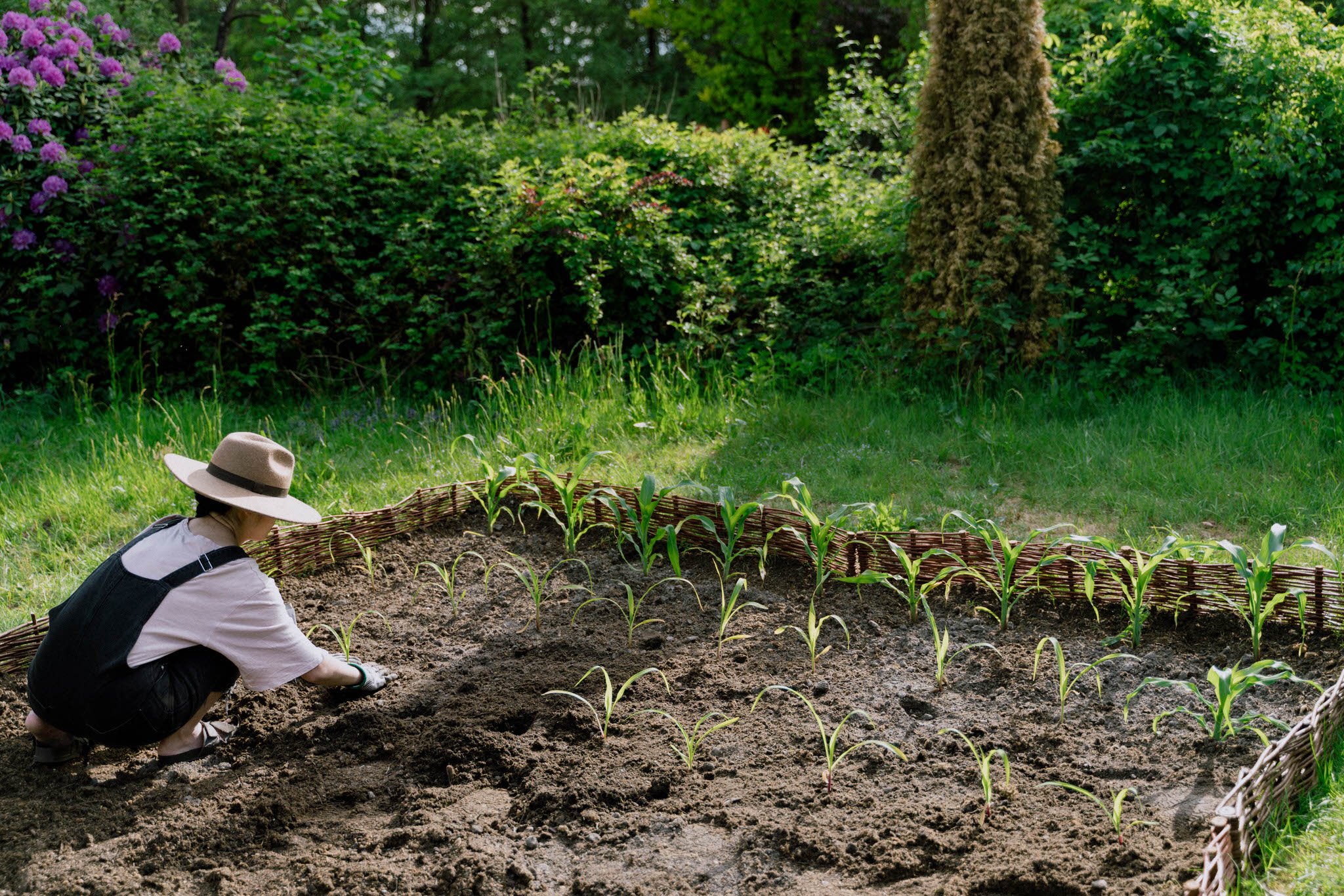 Vegetable Garden 2022 - Her86m2 - 194.jpg