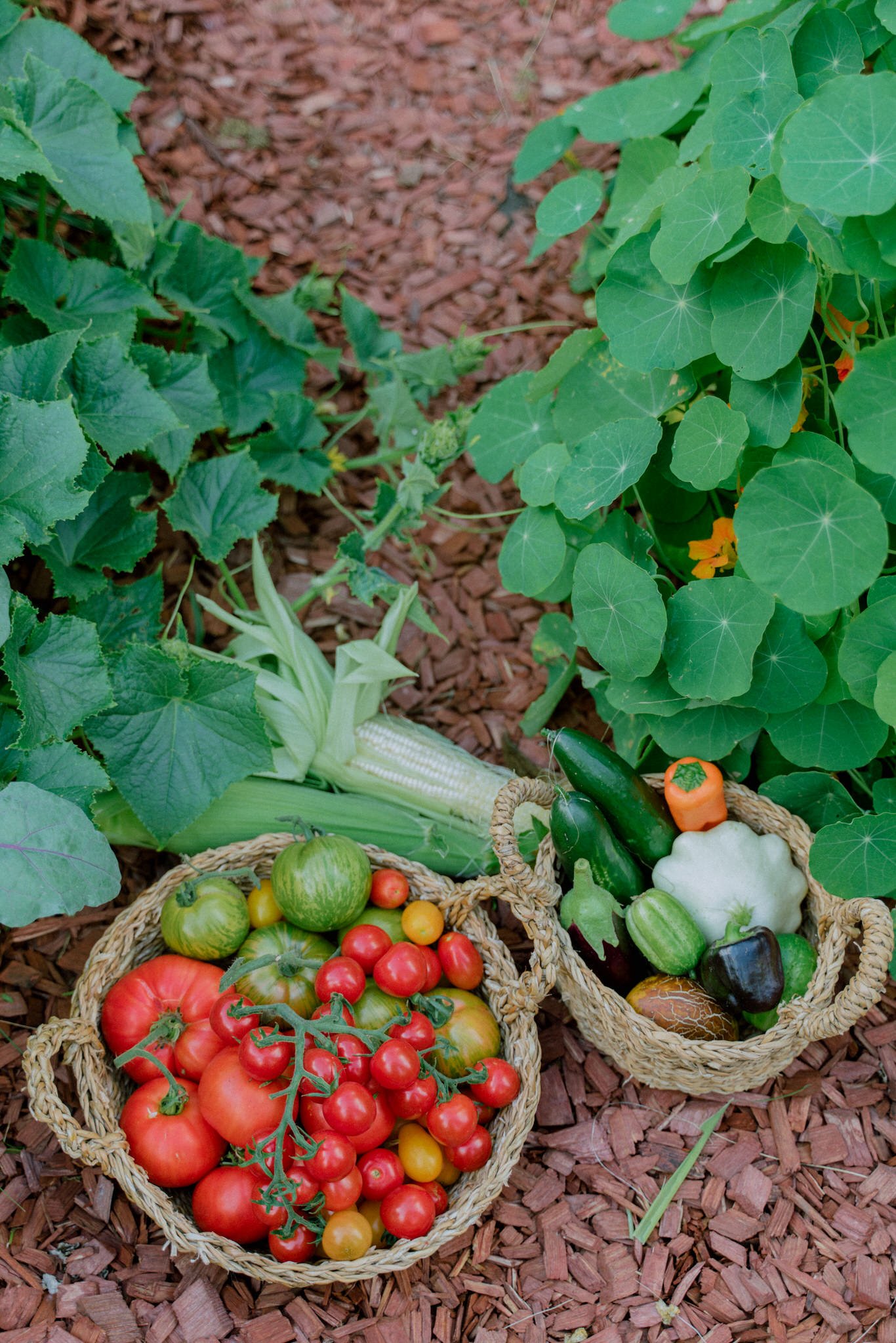 Vegetable Garden 2022 - Her86m2 - 423.jpg