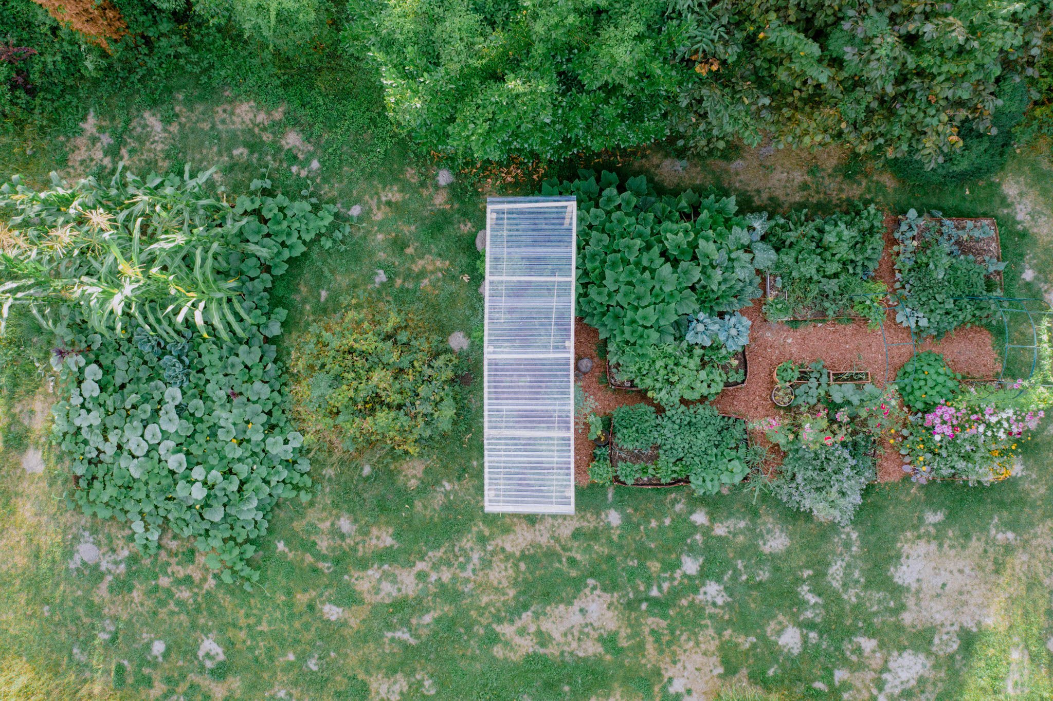Vegetable Garden 2022 - Her86m2 - Drone - 43.jpg