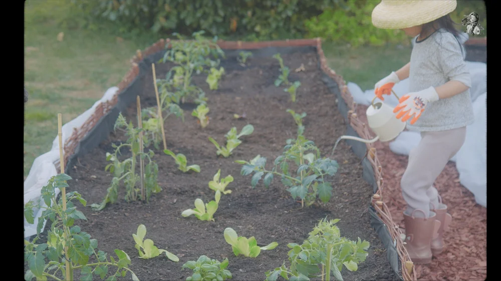 Everything About Growing Tomatoes - Her86m2 _1.117.1.jpg