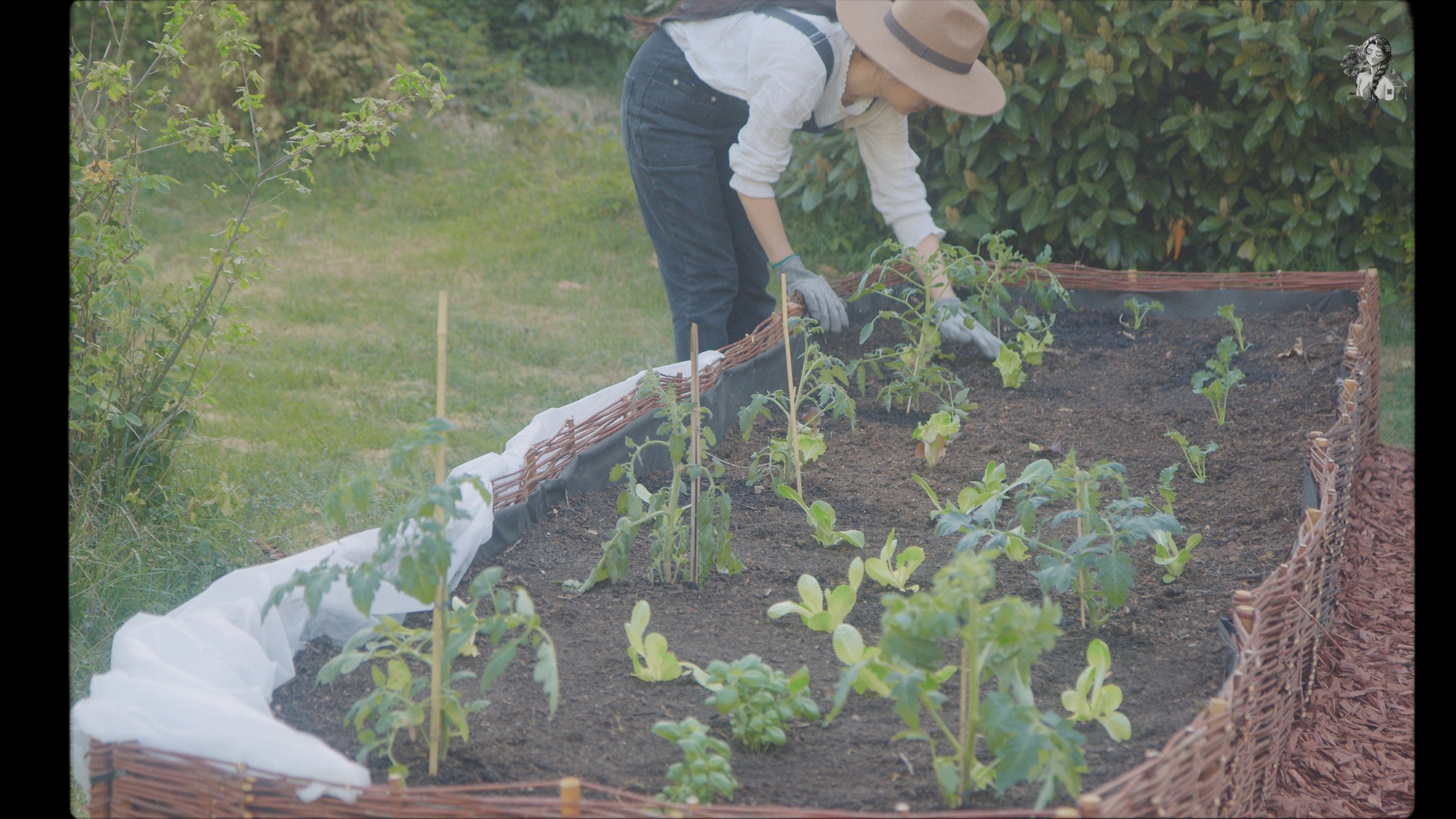 Everything About Growing Tomatoes - Her86m2 _1.116.1.jpg