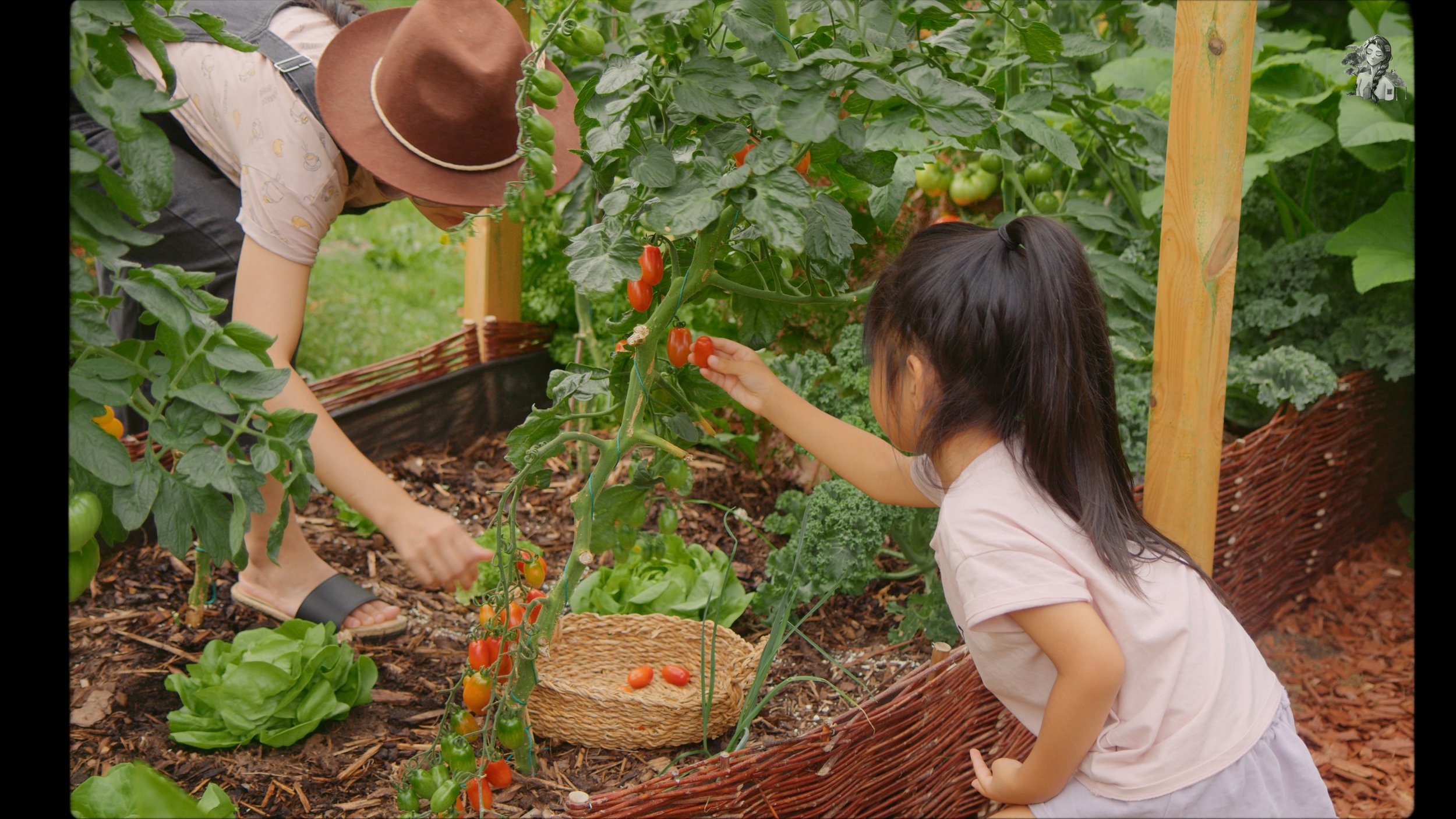 Everything About Growing Tomatoes - Her86m2 _1.224.1.jpg