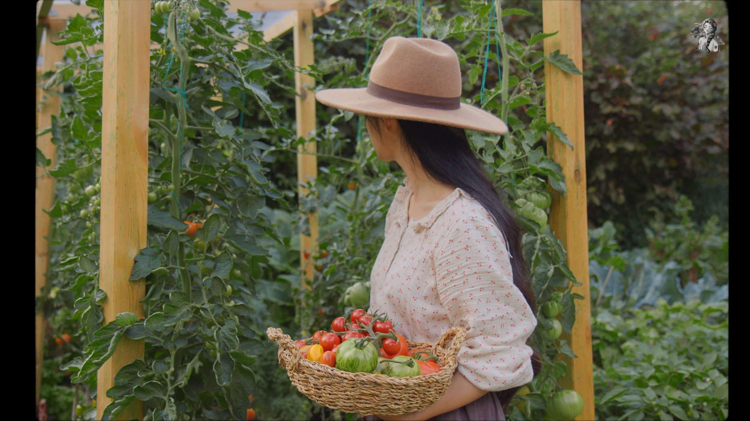Everything About Growing Tomatoes - Her86m2 _1.241.1.jpg