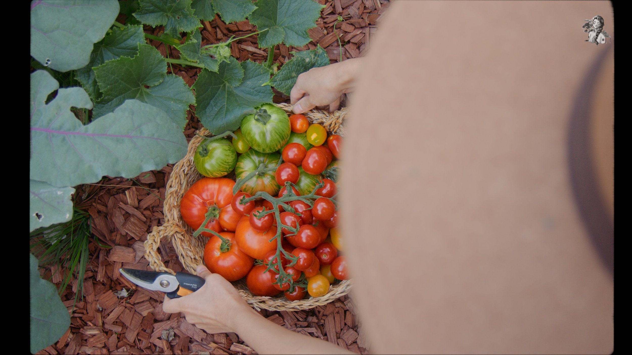 Everything About Growing Tomatoes - Her86m2 _1.242.1.jpg