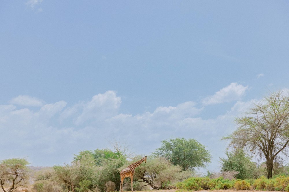 Samburu Kenya Elopement - Susan & Ritchie - Tu Nguyen Wedding - 62.jpg