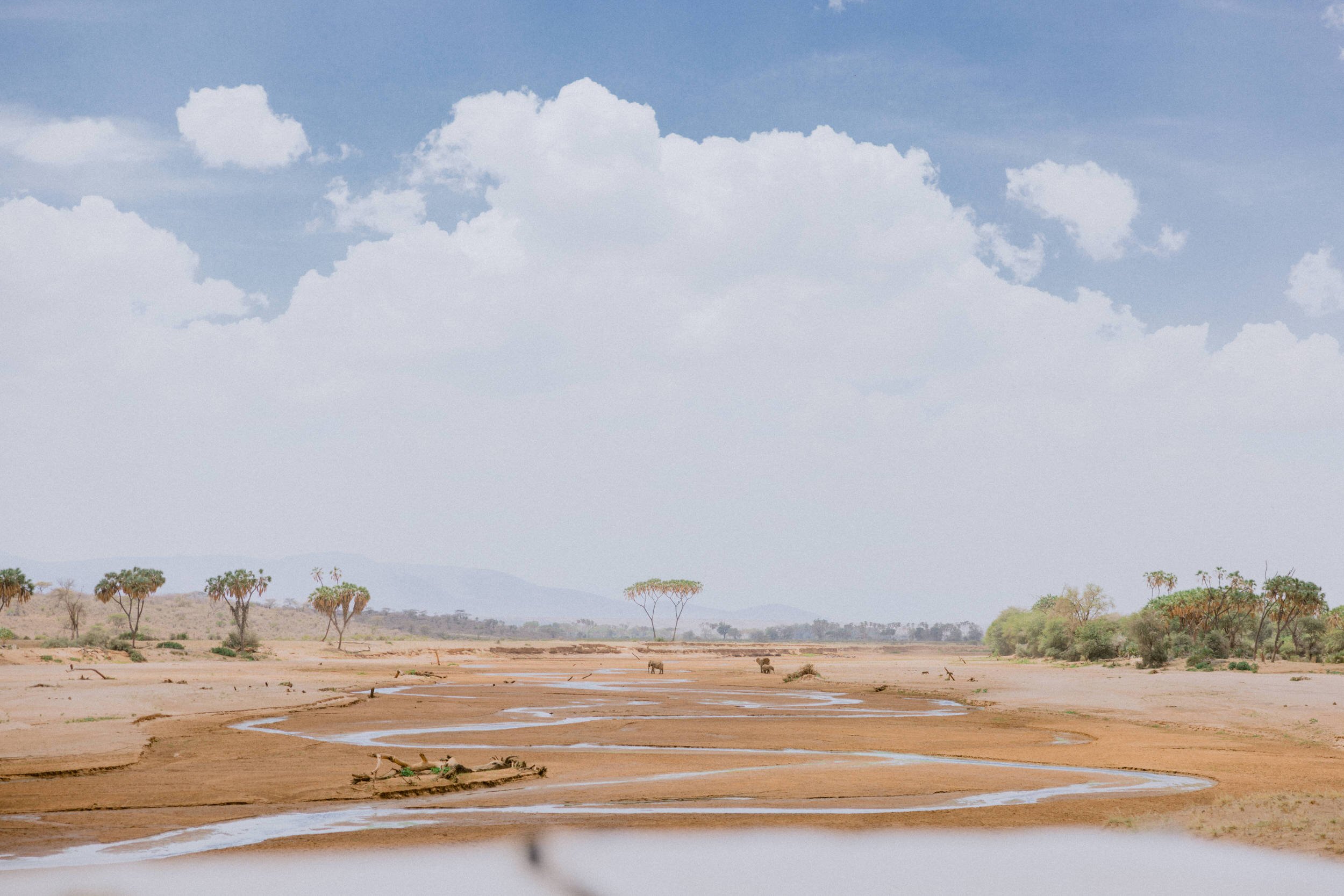 Samburu Kenya Elopement - Susan & Ritchie - Tu Nguyen Wedding - 88.jpg