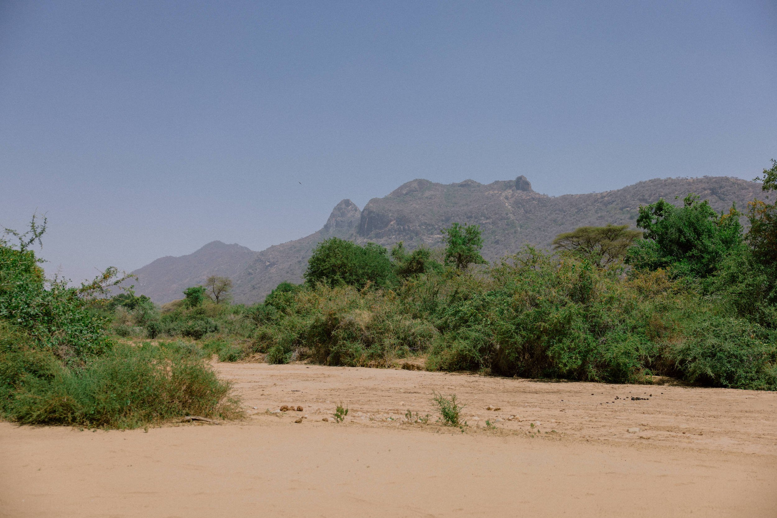 Samburu Kenya Elopement - Susan & Ritchie - Tu Nguyen Wedding - 497.jpg