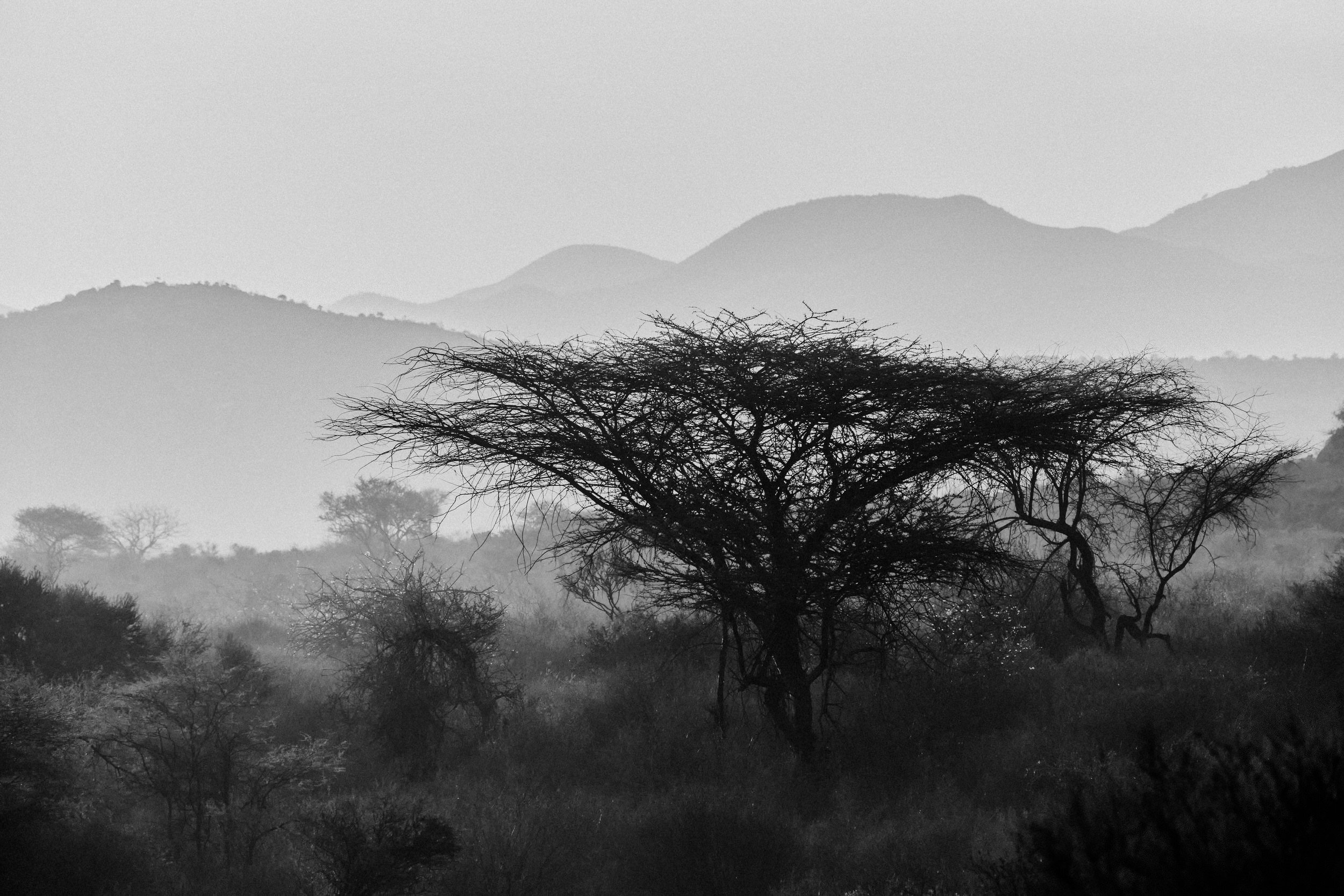 Samburu Kenya Elopement - Susan & Ritchie - Tu Nguyen Wedding - 748.jpg