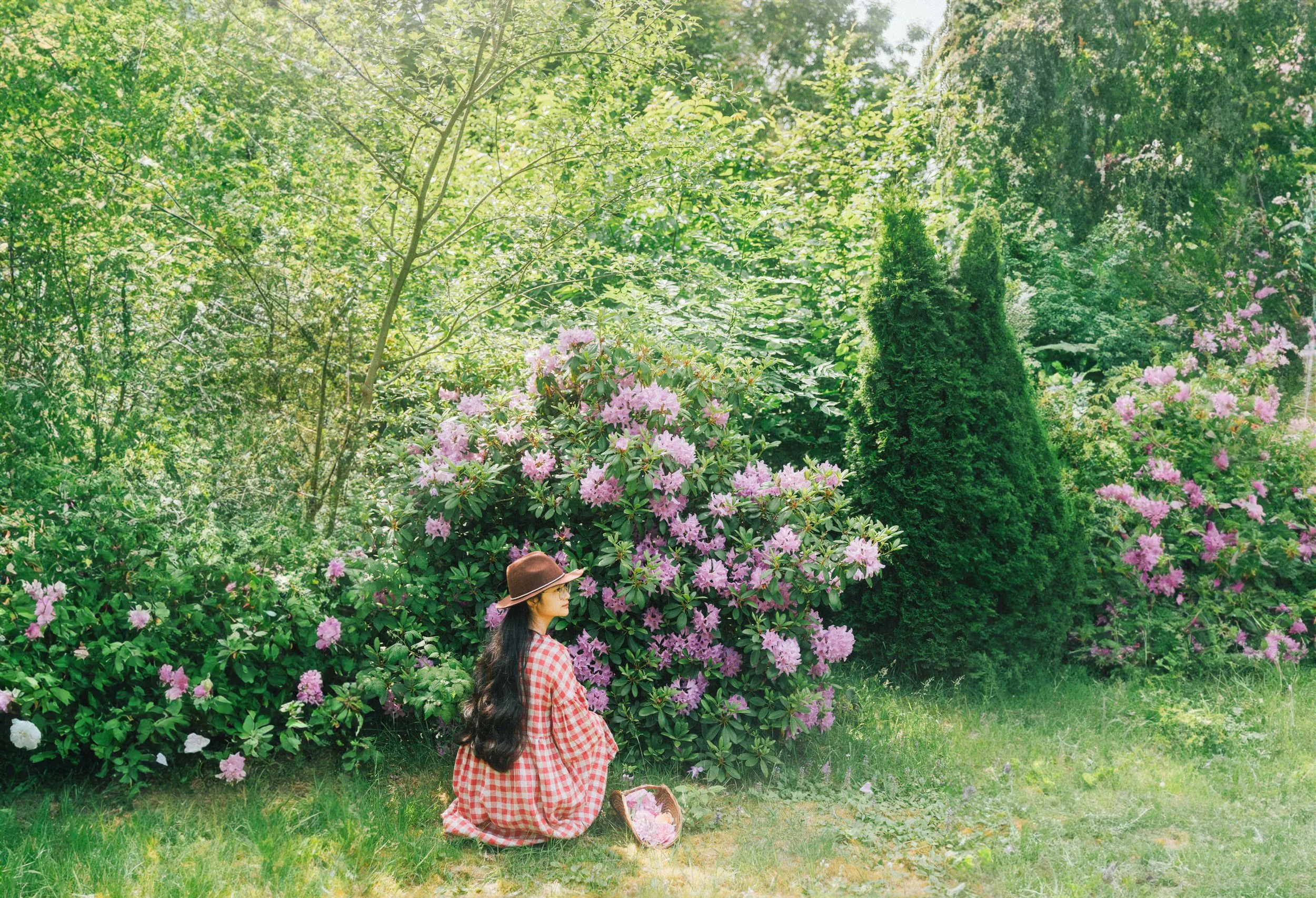 Summer Days in the Countryside