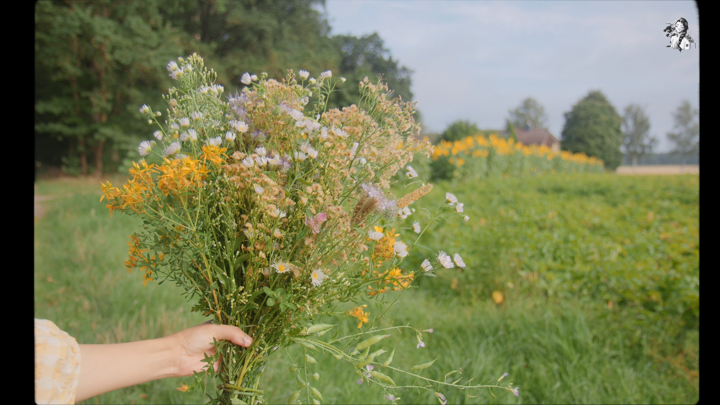 Summer Morning Routine - Her86m2 _1.324.1.jpg