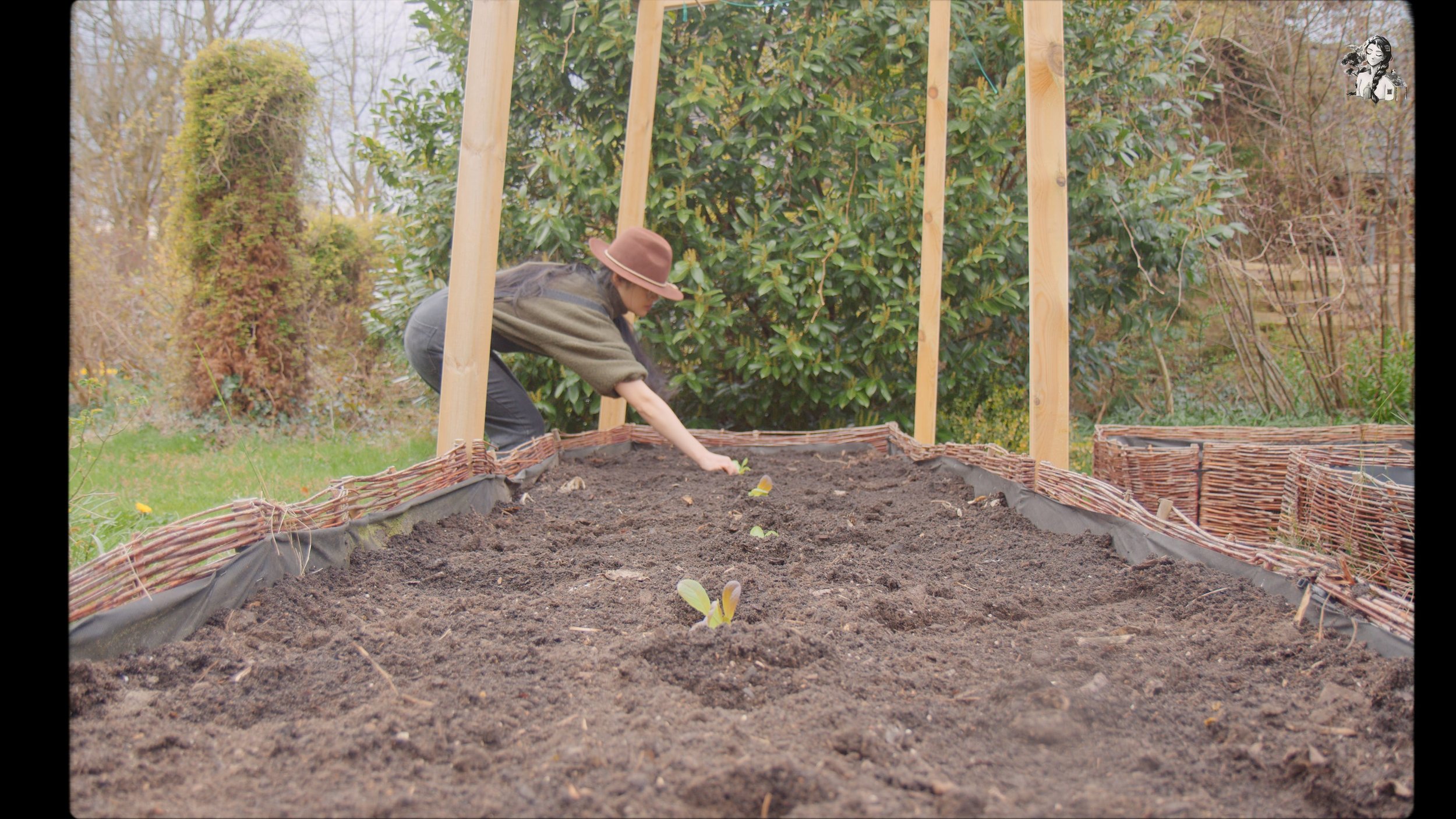 218 Days of Growing My Vegetables Garden_1.88.1.jpg