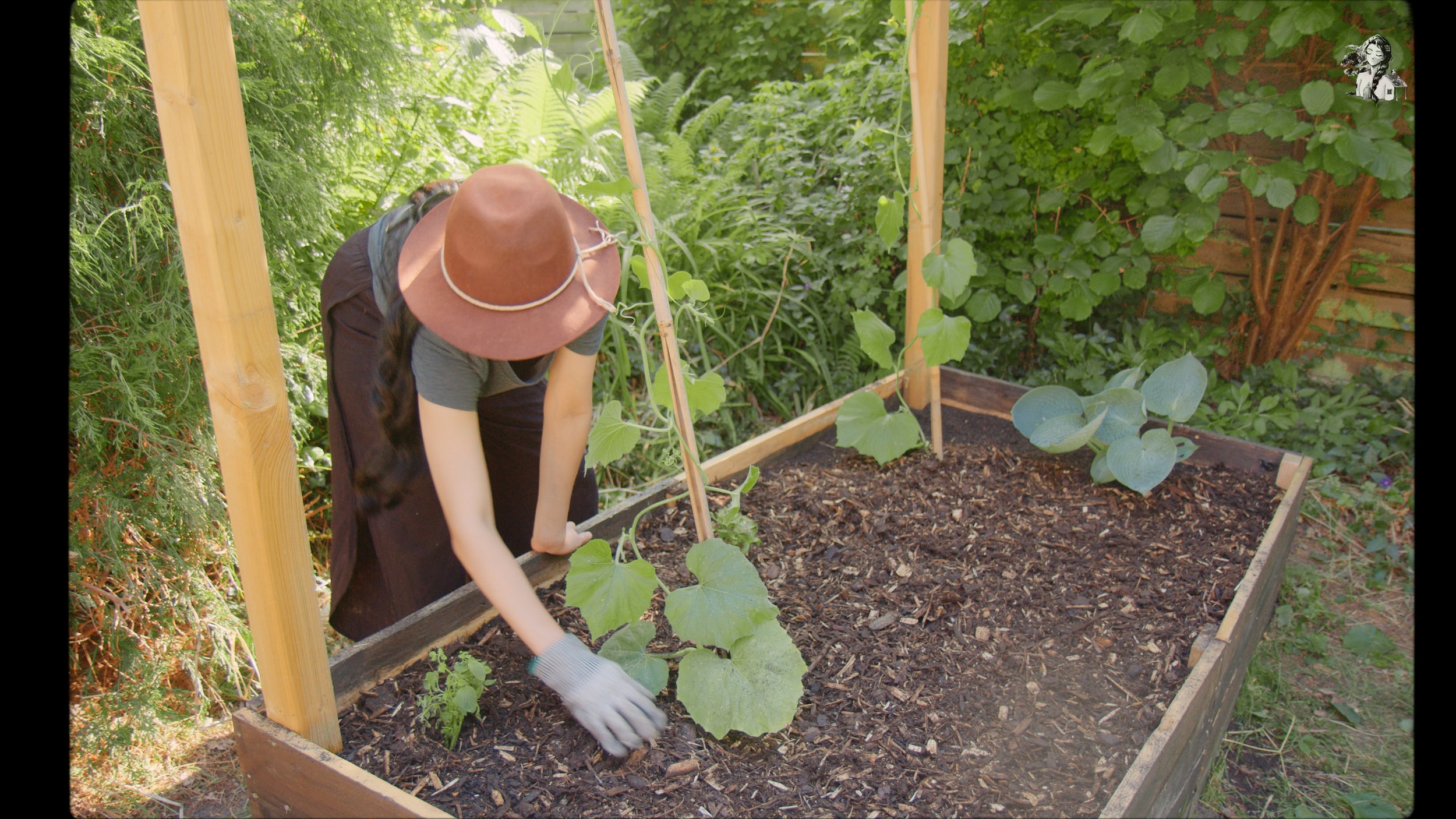 218 Days of Growing My Vegetables Garden_1.398.1.jpg