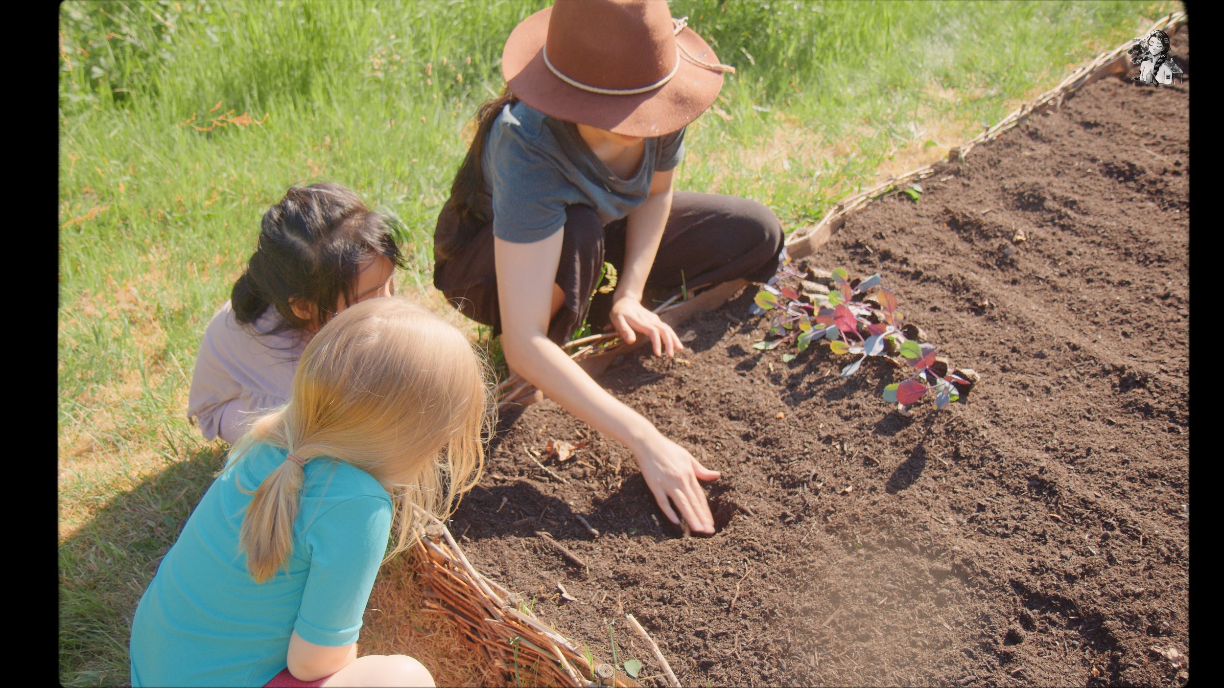 218 Days of Growing My Vegetables Garden_1.405.1.jpg