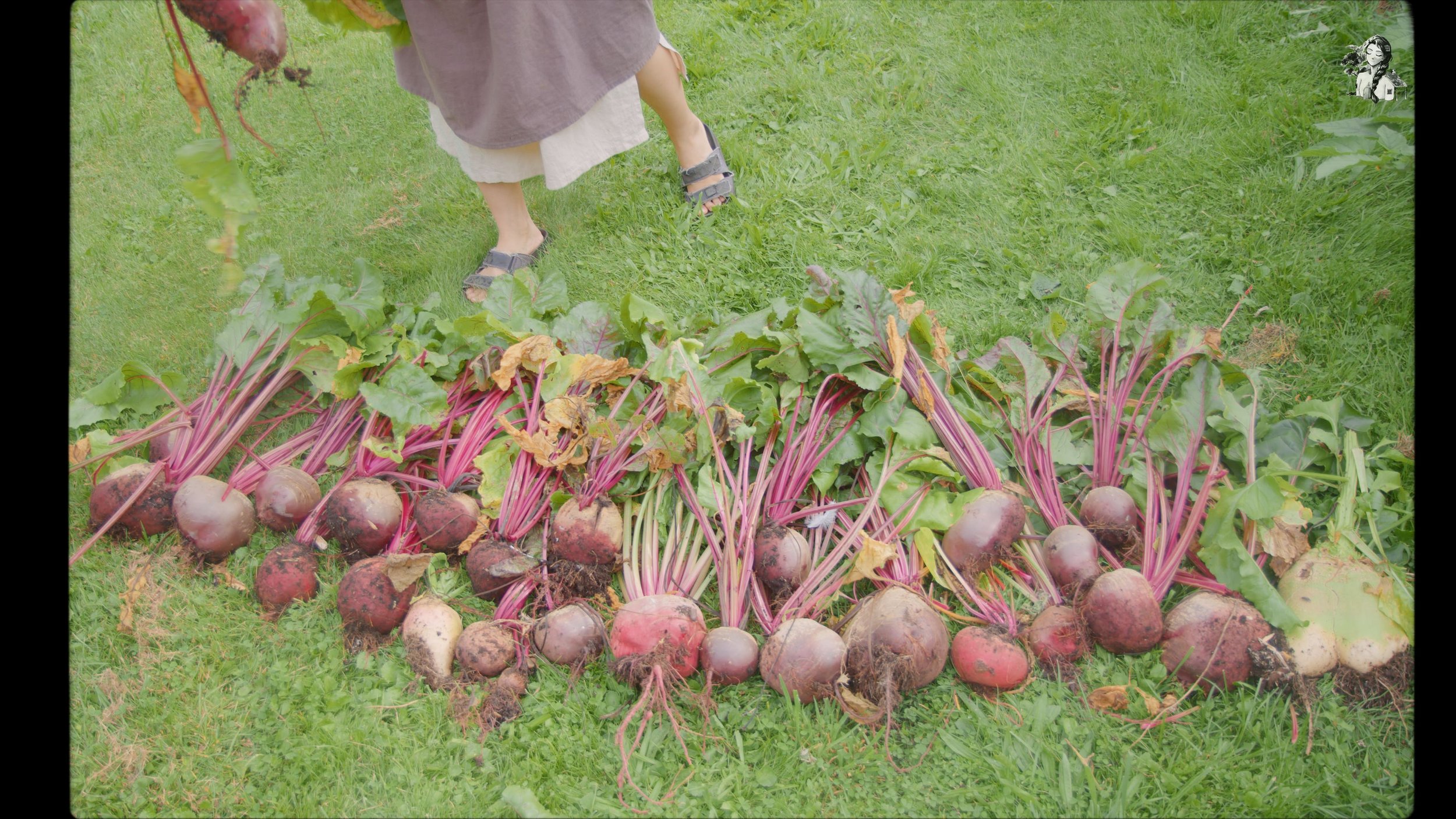 218 Days of Growing My Vegetables Garden_1.811.1.jpg