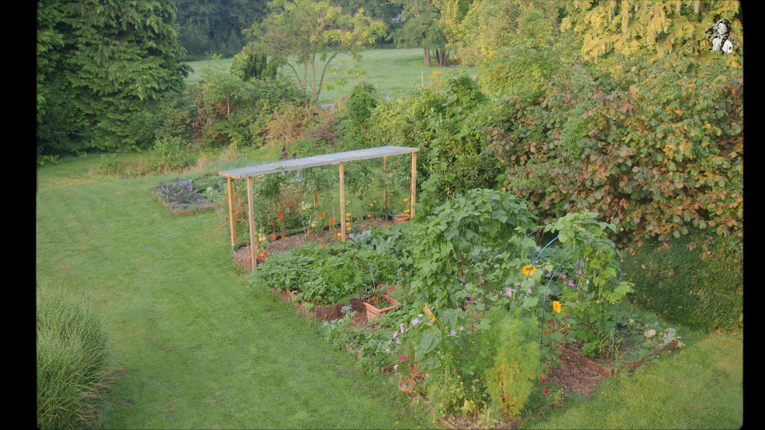 218 Days of Growing My Vegetables Garden_1.794.1.jpg