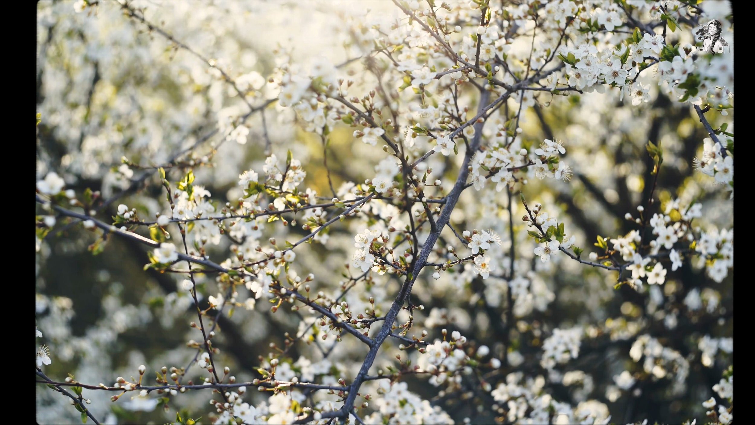 Memories of Spring - Spring Life in the Countryside - Her86m2_1.8.1.jpg