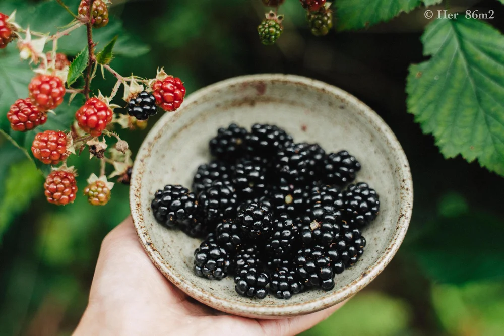 Endless Days of Summer - Slow Life in the Countryside in Germany  52.JPG