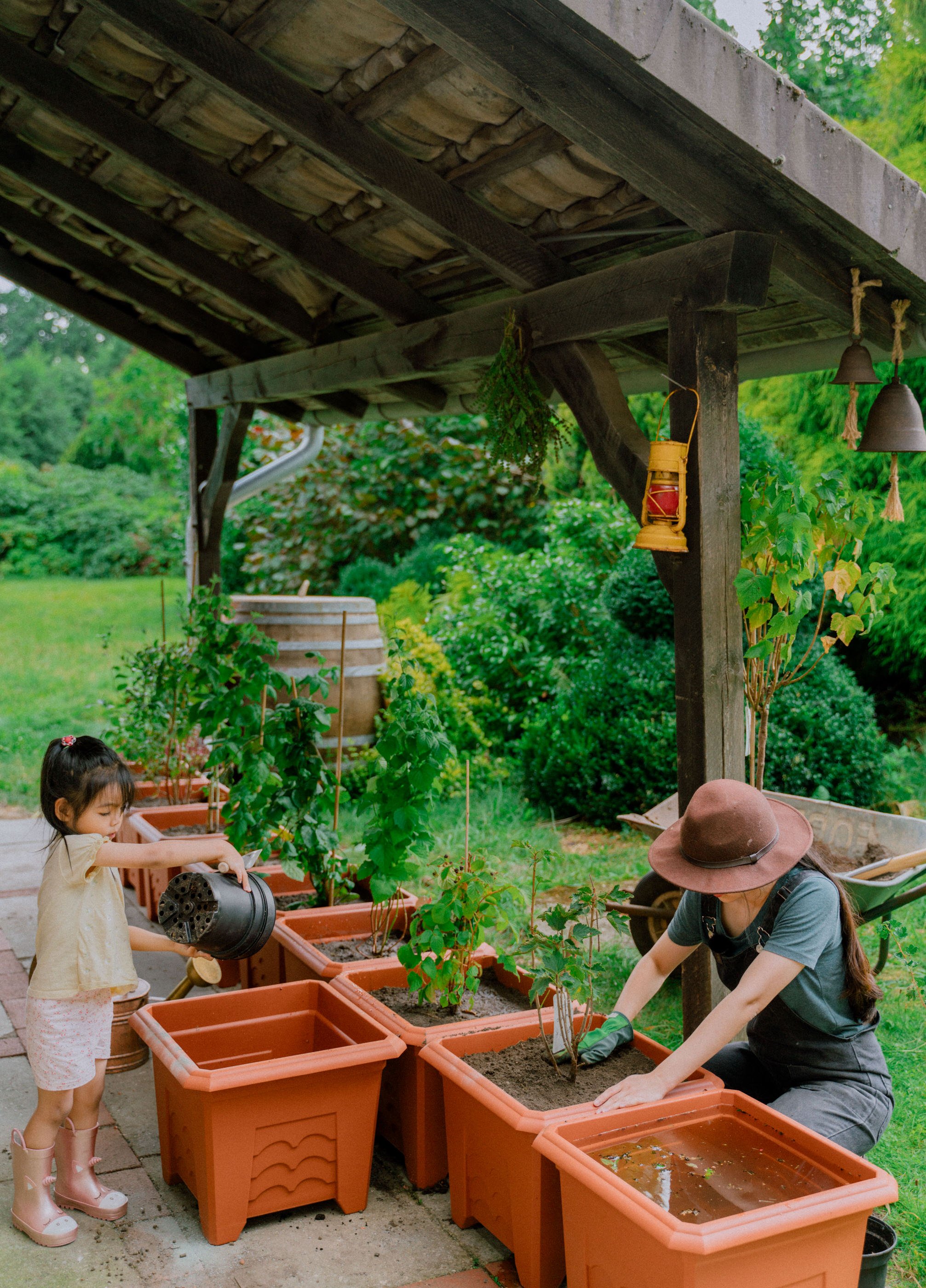 How to Grow Berries in Containers - Her86m2 10.jpg