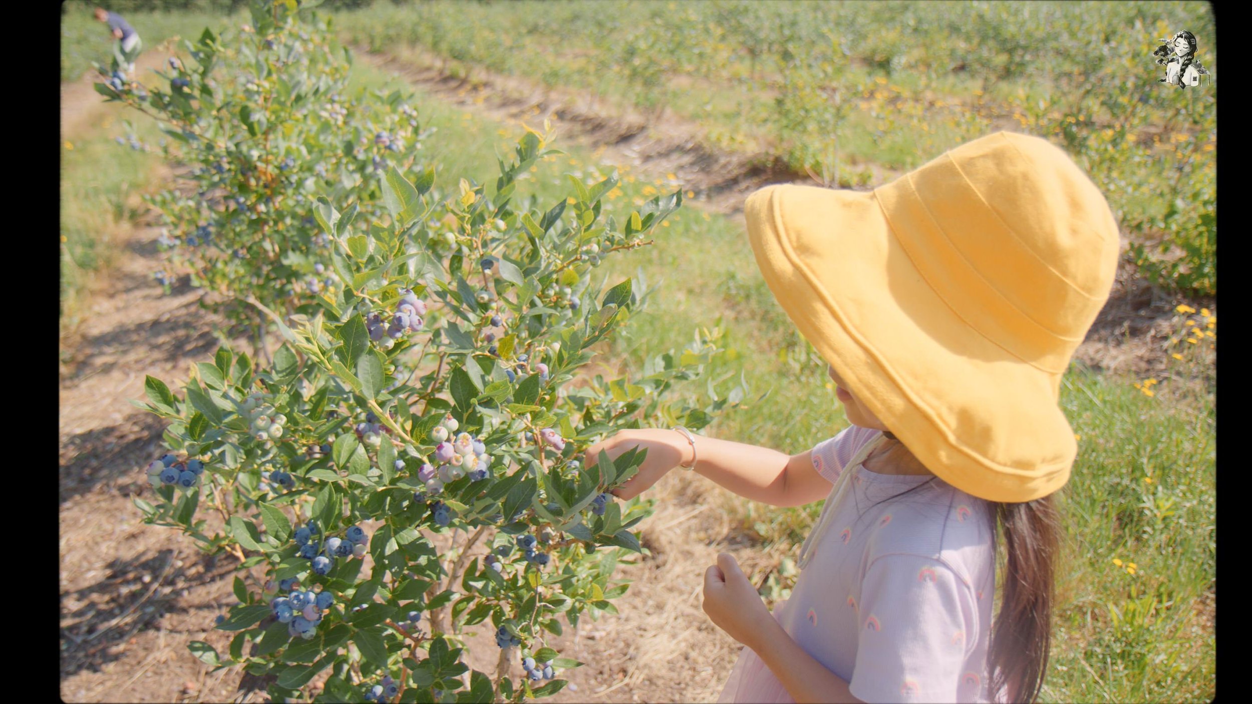 Growing Berries in the Backyard Garden - Her86m2 _1.40.1.jpg