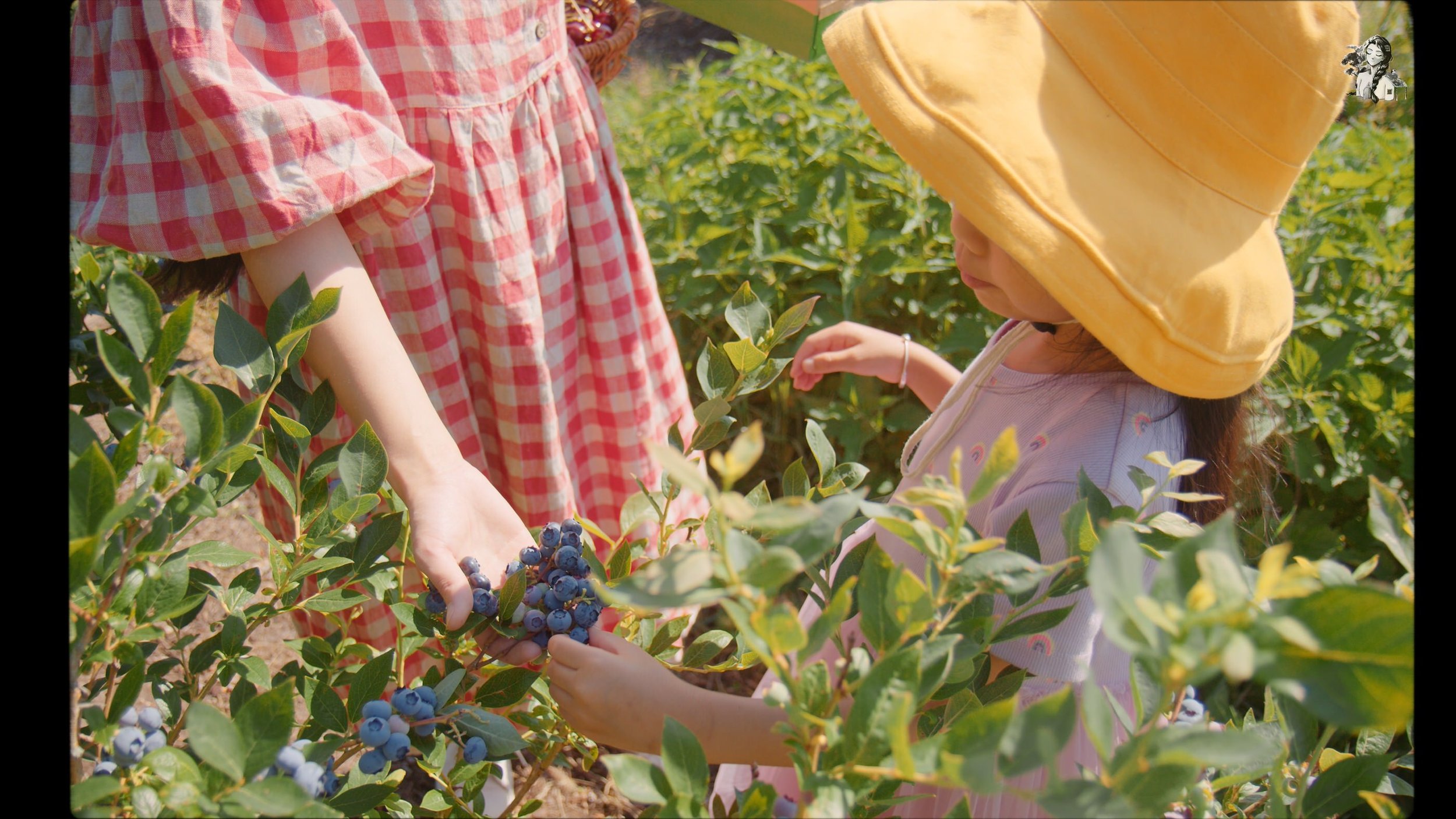 Growing Berries in the Backyard Garden - Her86m2 _1.47.1.jpg