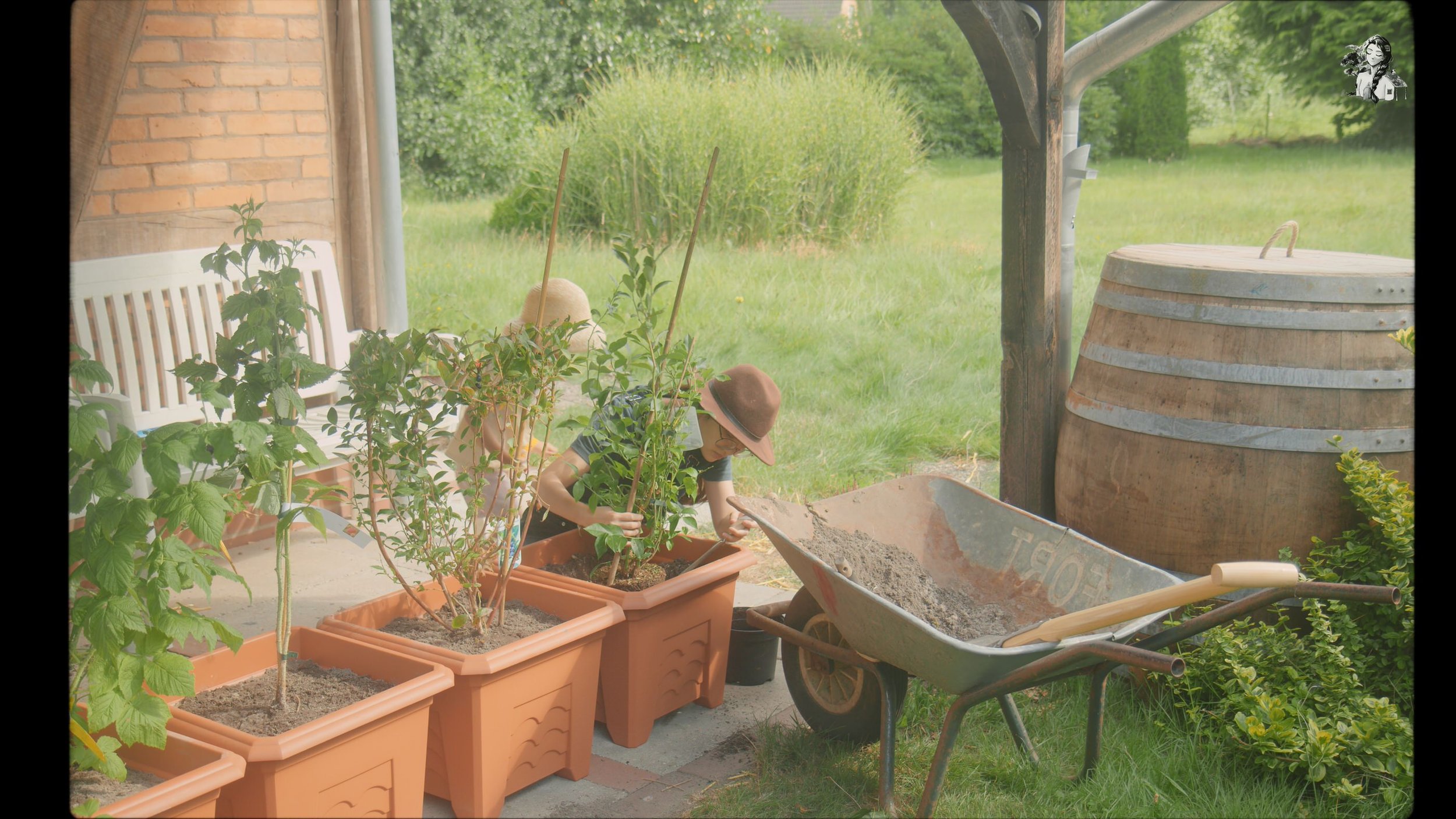 Growing Berries in the Backyard Garden - Her86m2 _1.135.1.jpg