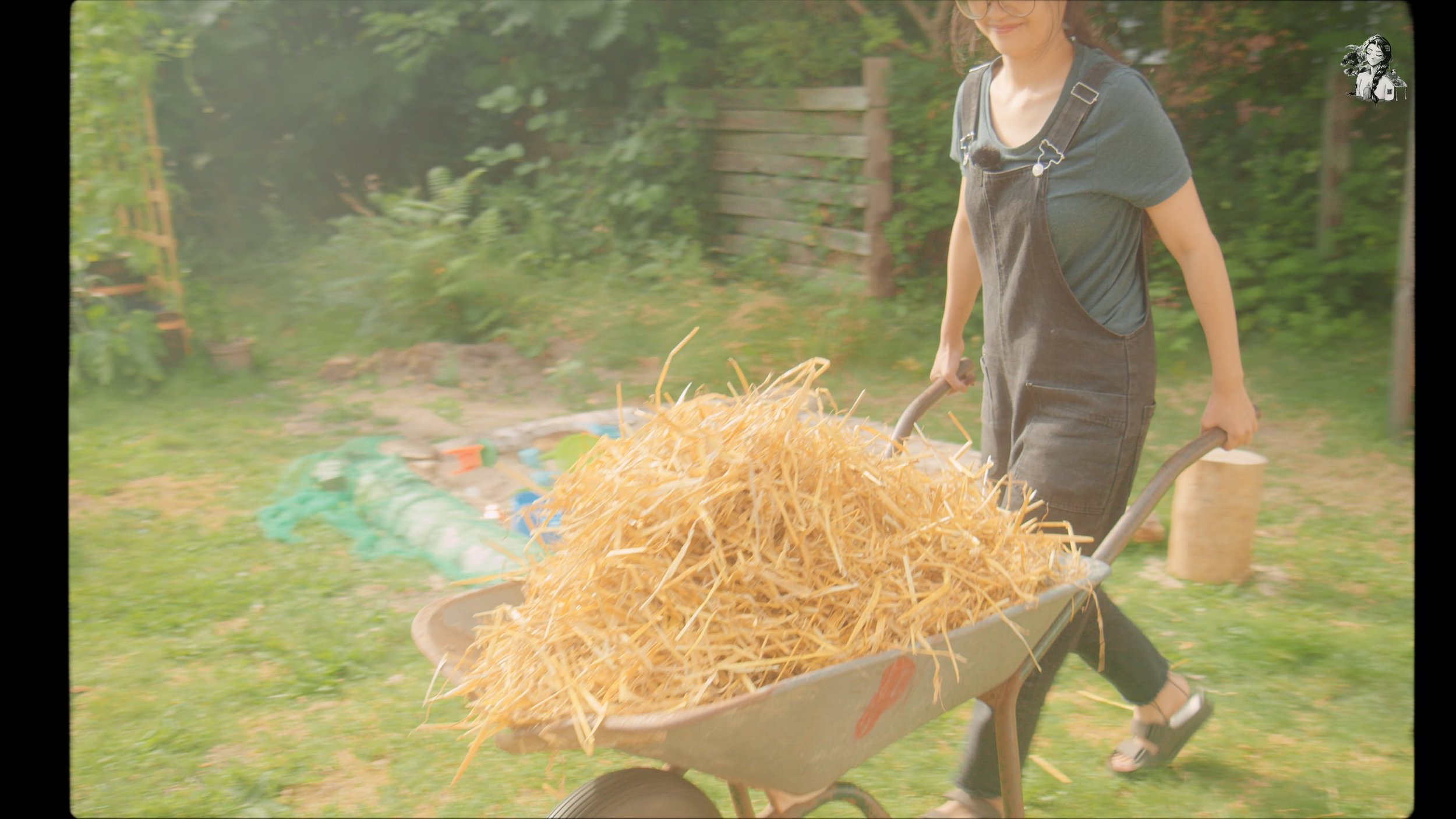 Growing Berries in the Backyard Garden - Her86m2 _1.156.1.jpg