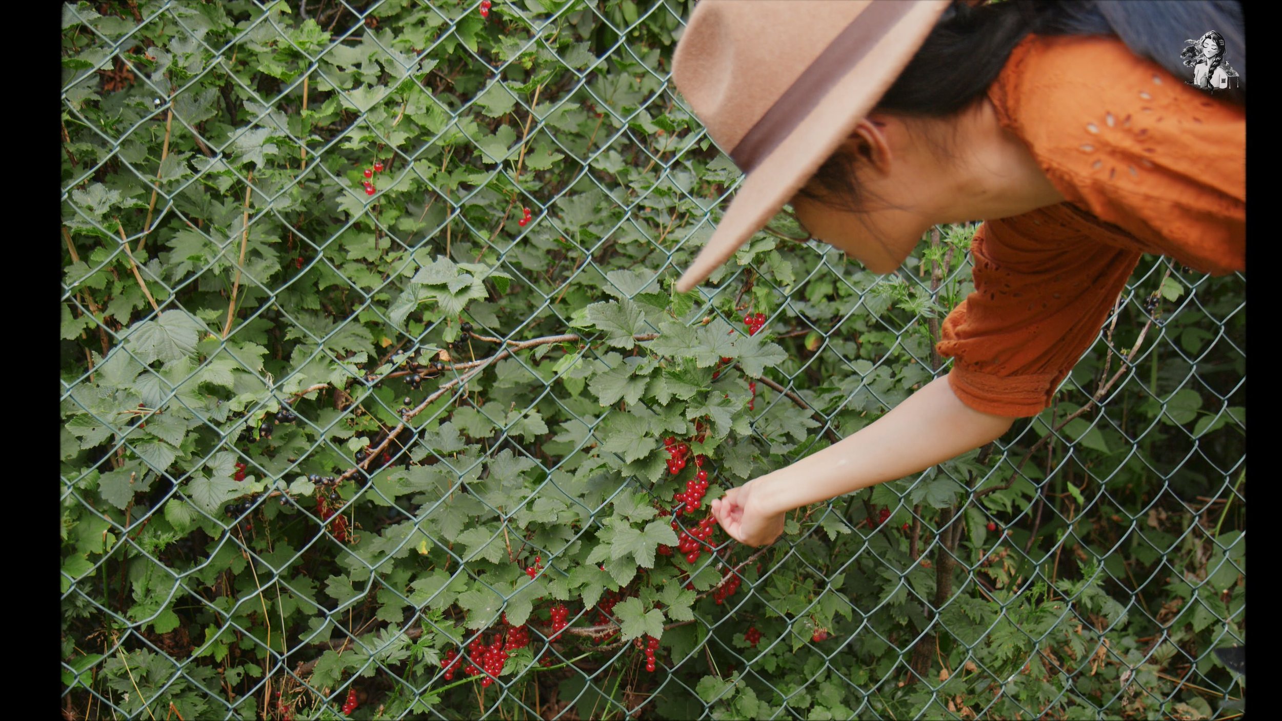 Growing Berries in the Backyard Garden - Her86m2 _1.220.1.jpg
