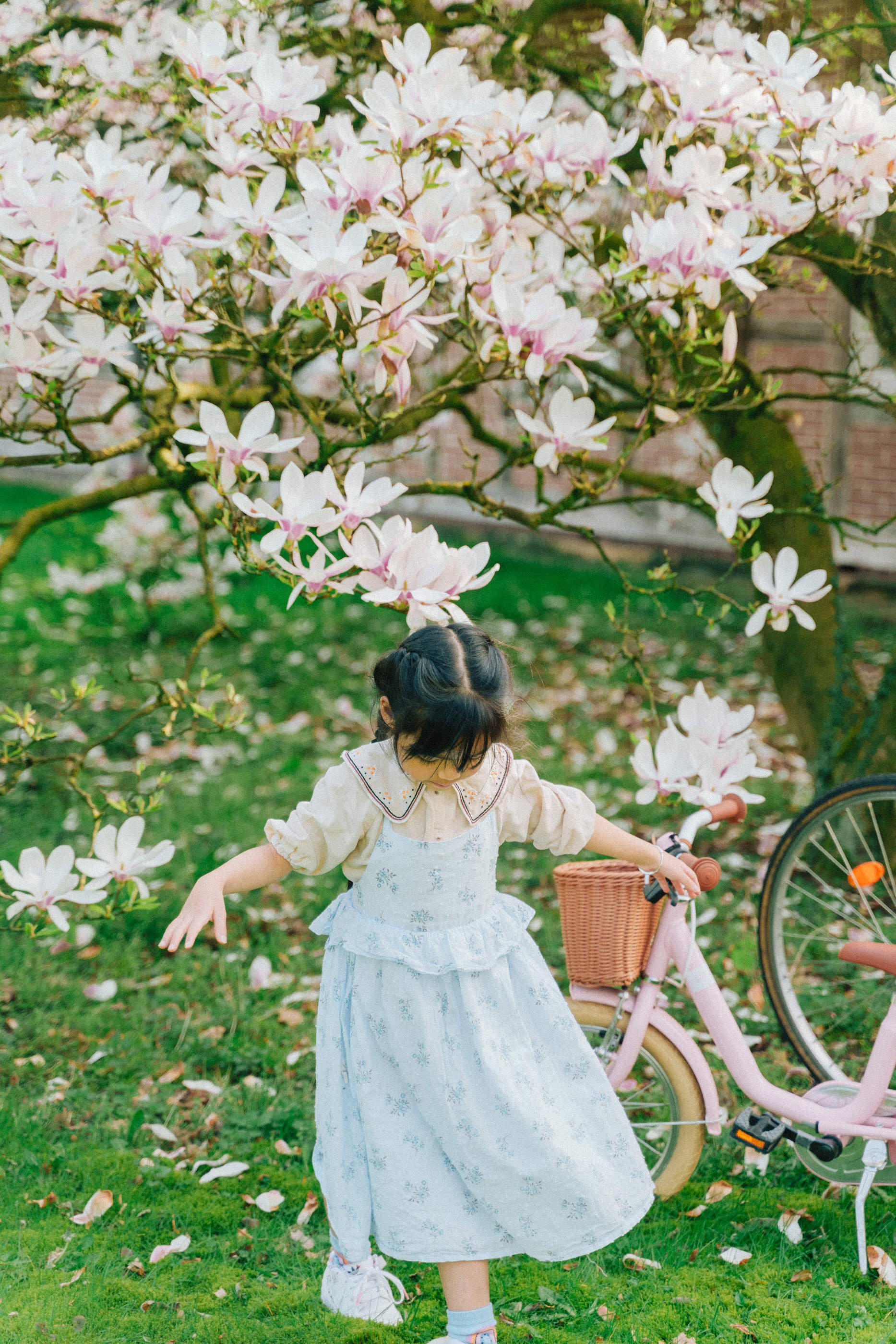 Magnolia Flower - Magnolia Recipes - Finding Joy in Homemaking - Her86m2 _7IV3515.jpg