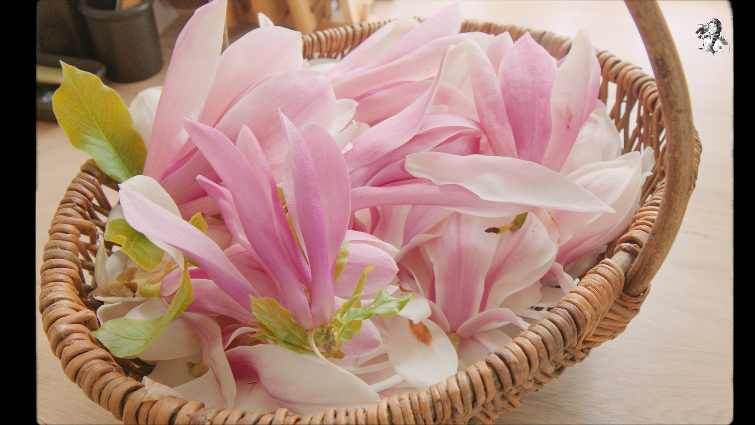 Finding Joy in Homemaking - Foraging Magnolia - Magnolia Tee - Magnolia Salad - Her86m2 _1.182.1.jpg