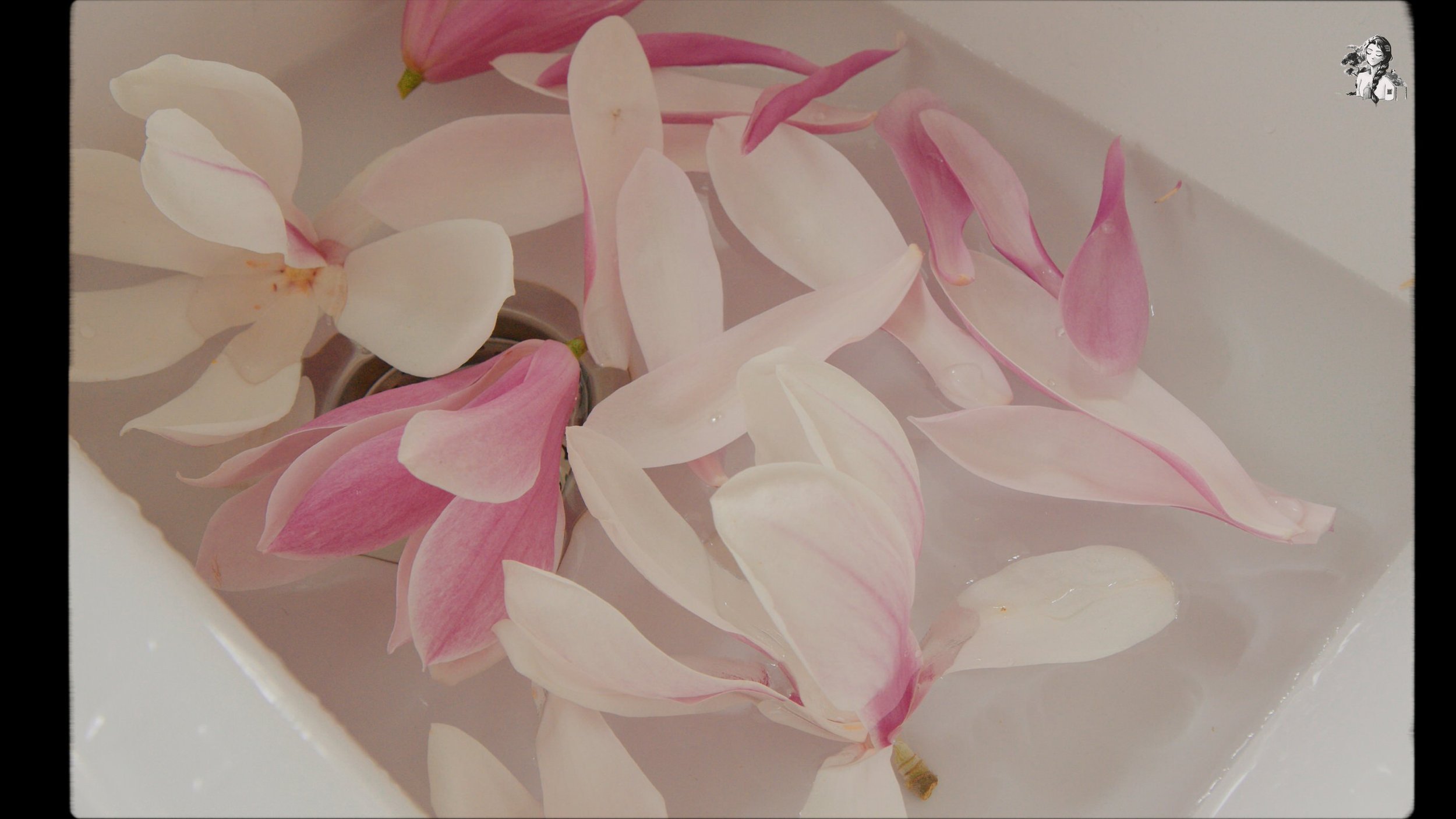 Finding Joy in Homemaking - Foraging Magnolia - Magnolia Tee - Magnolia Salad - Her86m2 _1.188.1.jpg