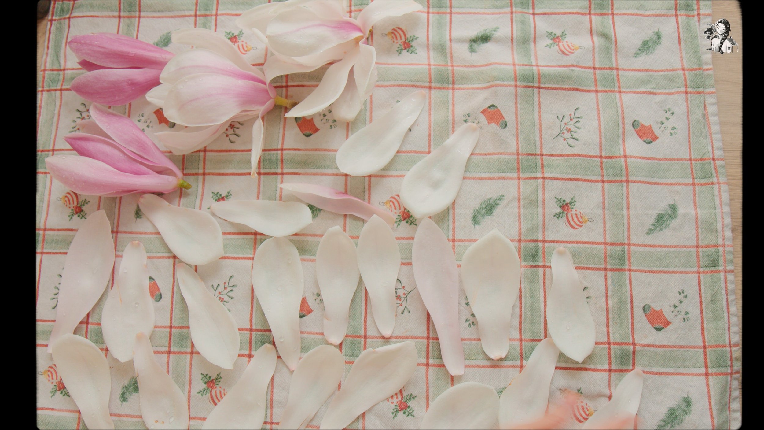 Finding Joy in Homemaking - Foraging Magnolia - Magnolia Tee - Magnolia Salad - Her86m2 _1.194.1.jpg