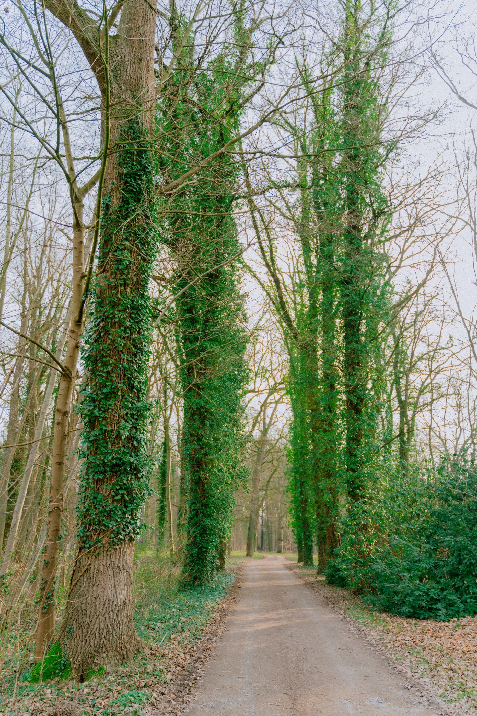 How I spend my first week of May _7IV3188.jpg