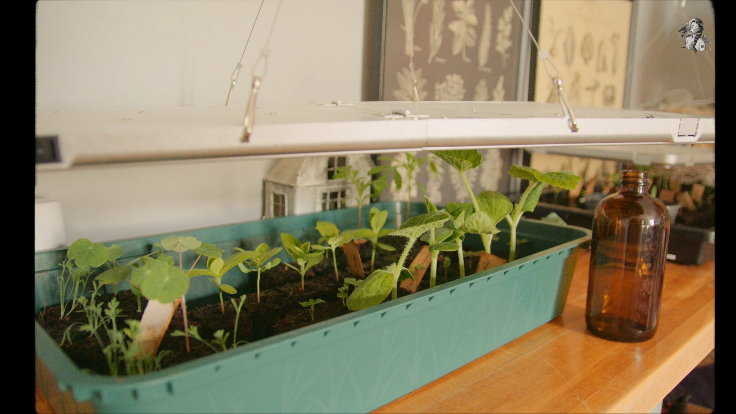 how I spend my first week of May_1.69.1.jpg